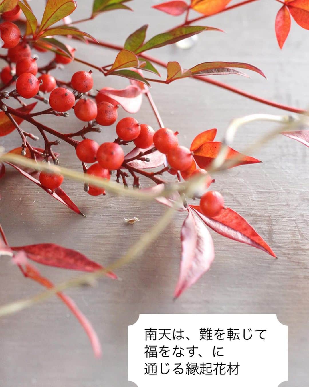 雑誌『花時間』さんのインスタグラム写真 - (雑誌『花時間』Instagram)「お正月の花材には、それぞれ意味があります。でも、一年ぶりだから、忘れていますよね💦　そこで、おさらい！  花時間（@hanajikan_magazine）です。  たとえば、松。  年中青々としていることから、無病息災や不老長寿の願意を込めて、お正月に飾られてきました。  四字熟語だとなんだか、堅苦しい感じですが、家族みんなが元気でいられますよつに！というお願いごとですね。  そんな松に、菊、葉牡丹、赤い実を組み合わせ、歳神さまが降り立つための目印「依代（よりしろ）」、門松🎍をイメージしてデザインしました。  そして、妥協できなかったのが、かわいらしさでした。  ピンクのまあるい菊に、小さくて、かわいらしいピンクの葉牡丹。それに、白木の器には、赤い水引飾りを結んでいます。  水引は、結び方でさまざまな意味があるなか、選んだのは、固い絆を表す「梅結び」。  なんだか、よいことがありそうでしょ？  お正月アレンジは、販売個数限定。 お届けは、12／29、30。  送料サービス・税込で3980円です。  ストーリーズのほか、プロフィール画面にある「hanajikan.shop」をタップしても、詳細と購入画面へ簡単に飛んでいけます✈️  お花の準備は、花時間に任せて、大掃除やおせちの準備に邁進してくださいね✌️  では、本日もお疲れさまでした🍵  明日も元気smile😊😊😊で頑張りましょう！インフルが流行っているので、気をつけてくださいね。 byピーターパン  【花時間ニュース】 💜『花時間マルシェ』発、花の定期便が大好評🥰　世界でここだけのバラと旬花が届く嬉しいサービスです💕  💜『花時間』の2024年カレンダー、大好評発売中！  💜『花時間2023秋』〈花屋さんへ行こう〉大好評発売中！  💜『花と短歌でめぐる 二十四節気 花のこよみ』大好評発売中  すべて @hanajikan_magazine のプロフィールのリンクから飛べます✈️  『花時間』本誌や書籍は全国の書店、ネット書店でも発売中✨  #花時間  #フラワーアレンジ #花が好き #花が好きな人と繋がりたい  #花を飾る  #花を飾る生活 #花屋さんへ行こう  #お正月アレンジ #お正月アレンジメント  #お正月飾り #お正月の準備  #お正月の花 #お正月の縁起花  #迎春アレンジ #お取り寄せ」12月20日 18時04分 - hanajikan_magazine