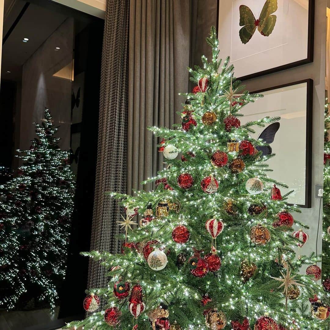 貝賀琴莉さんのインスタグラム写真 - (貝賀琴莉Instagram)「クリスマスの飾り素敵、！！」12月20日 19時21分 - 0112kako