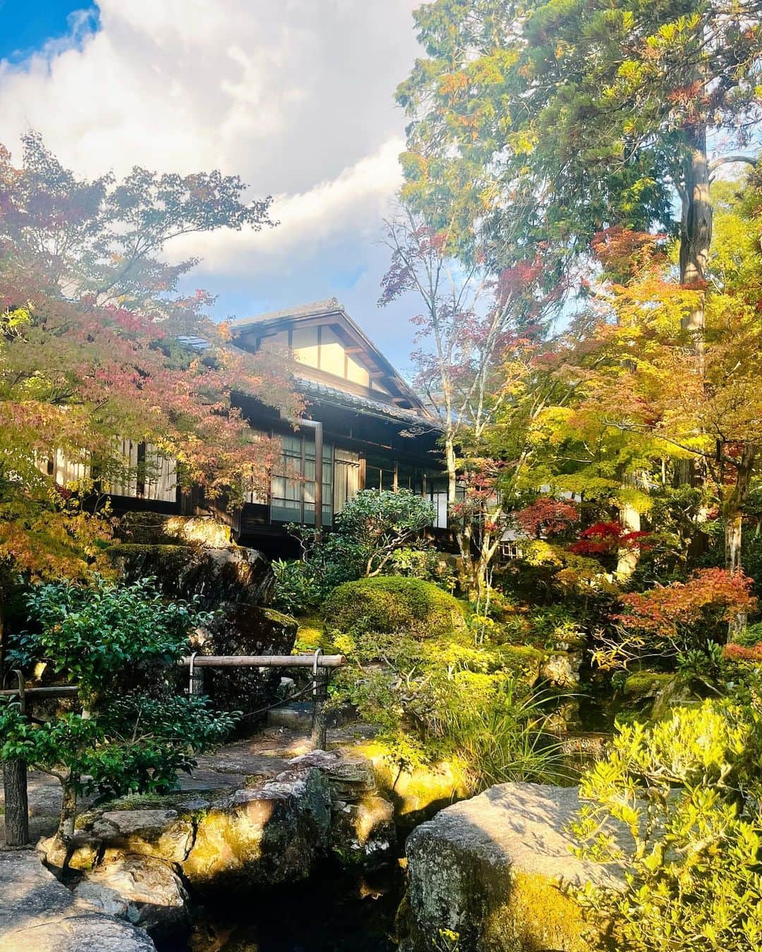 塚本舞さんのインスタグラム写真 - (塚本舞Instagram)「少し前になりますが、漫画家の @ayumuseki_ さんと 京都散策に行ってまいりました！  まだ紅葉には少し早い時期だったものの 南禅寺の自然をたくさん感じ、 河原町で柚子のお鍋を食べ、 登録有形文化財のフランソア喫茶室でお茶をしました🫖🤎  知識を重ねて大人になってから訪れるお寺は とても荘厳で歴史のありがたみを感じることができました🍁  関西には祖父母宅への帰省でよく行くのですが 基本的に引きこもりのため観光はあまりしたことがなかったので また足を伸ばして色々な所に行ってみたいです🌿」12月20日 23時56分 - maipuni