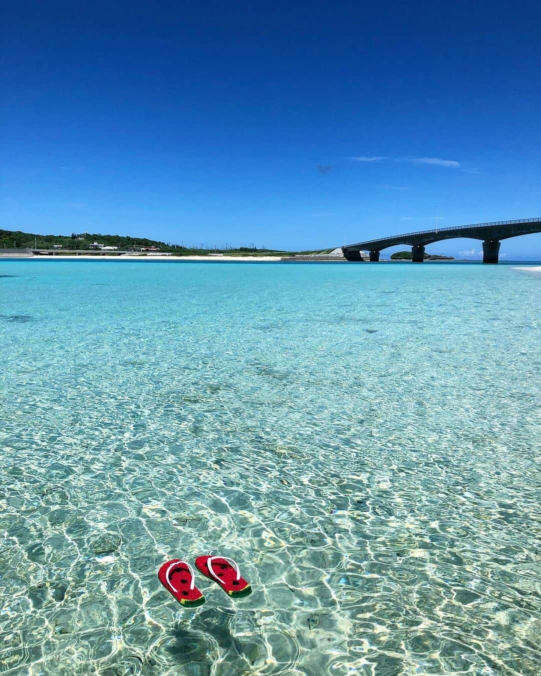 littleportelyのインスタグラム：「伊平屋島のフォトコン開催中🏝️🏝️📷📷   ◎募集期間 202 3 年12 月15 日(金)～2024 年1 月15 日(月)  ◎募集方法 写真および動画を「#いへやフォトコン」のハッシュタグをつけてインスタに投稿してください。  ◎応募条件 ・加工・無加工は問わない。 ・伊平屋村内で撮影したもの。 ・応募する本人が撮影したもの。 ・動画は90 秒まで。  ◎賞品 ・伊平屋村長賞 フェリー往復２名分 ・伊平屋島観光協会長賞 ボートエントリーシュノーケリングチケット２名分 ・伊平屋 観光・物産フェア賞 伊平屋特産品詰め合わせセット  .  #いへやフォトコン  #伊平屋島  . #あなたに見せたい景色  #あなたに見せたい空  #日本の風景  #絶景#絶景スポット #死ぬまでに行きたい日本  #my_eos_photo#canon#canonphotography#canon6d#eos6d#キャノン#キャノン女子#キヤノン#igersjp#japan_daytime_view#japan_of_insta#tokyocameraclub#海好きな人と繋がりたい#unknownjapan#japantrip#japan_vacations#japan_bestpic_ #japan_photo_now#flyjal#japantrip#team_jp_  #沖縄 #okinawa」