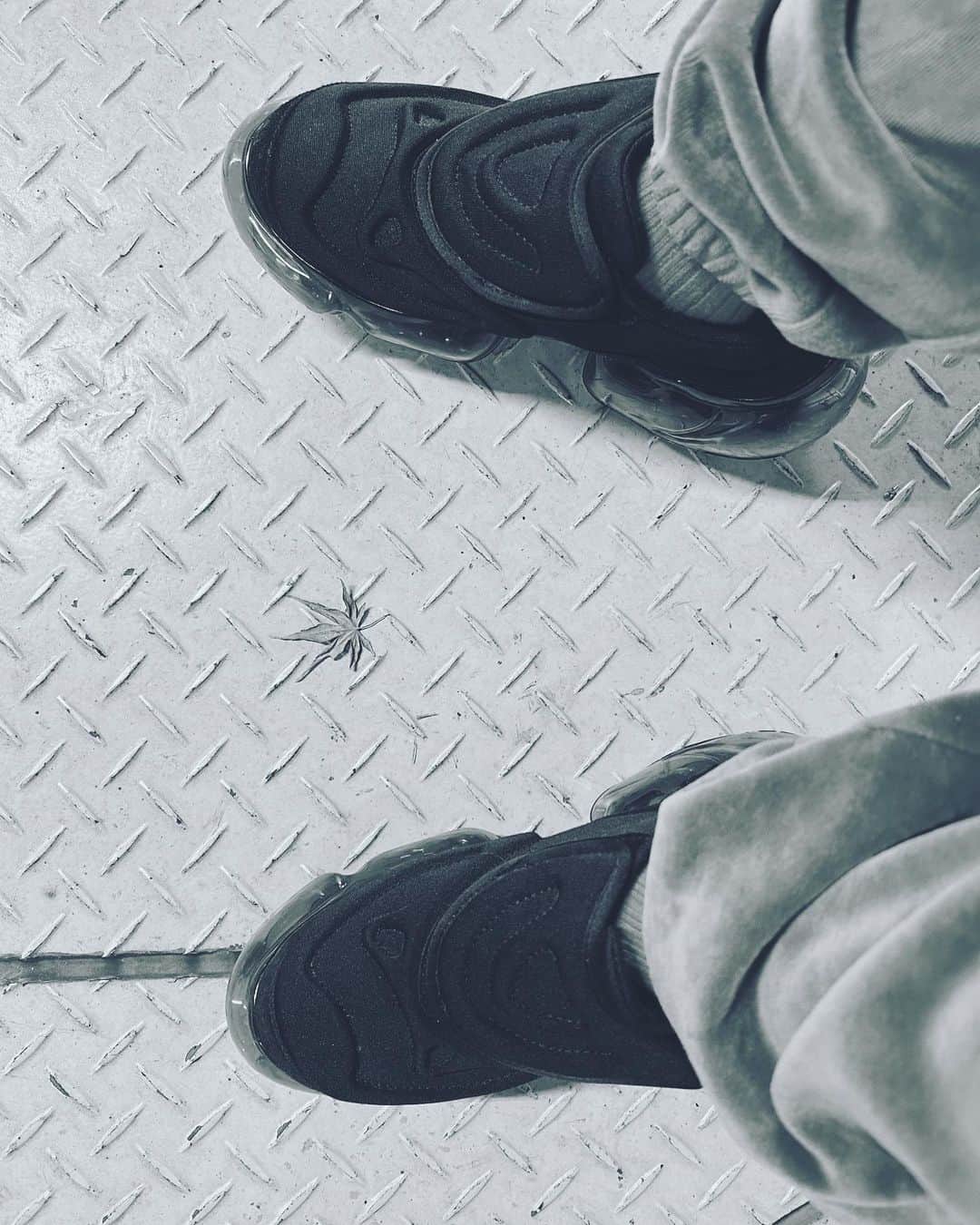 ZYUN.のインスタグラム：「今日の秋。  昔から何故か気になる葉っぱ見つけると撮る癖ある。  小さな幸せとか 小さな可愛さとか そーゆーの気付ける日常でありたい。」