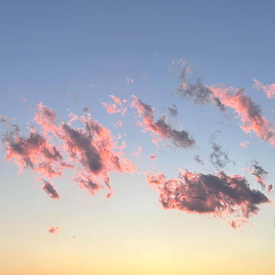 桜野羽咲さんのインスタグラム写真 - (桜野羽咲Instagram)「☁️ ⁡ ⁡ 最近の羽咲 ⁡ ⁡ 収録したり、お嬢様になったり、ライブしたり、勉強したり、スタジオ入ったり そんな羽咲のいつもの日常の中 ⁡ 先日、かよこさんとりすこさんとごはんという とーっても素敵な時間を過ごしました🥬🐿️🐇✨ ⁡ 大好きで尊敬している2人と同時にご飯に行けるなんて✨終始ドキドキ…… ⁡ ⁡ お二人のお話をだいぶ前のめりになりながら聞き マインドを吸収しまくり。 ⁡ こんな風に歳を重ねたいなって 自分の未来がまた少し楽しみになった🌷 ⁡ ⁡ ⁡ 今年も残り少し できることを一生懸命やっていきます！ ⁡ ⁡ ⁡ ⁡ ┈ ┈ ┈ ┈ ┈ ┈ ┈ ┈ ┈ ┈ ⁡ ■生誕ワンマンライブ ⁡ 2024年1月20日(土)  18:00 開場 / 18:30 開演 at Spotify O-nest ⁡ 桜野羽咲生誕記念ワンマンライブ 「羽咲中毒 - SONG EATER -」開催 ⁡ ⁡ “ 歌喰い ” ⁡ この想い 一つで生きていける それくらいの輝きだ なにも見えなくするくらいの ⁡ それこそ呪いだ ⁡ 🏷️#おめでとうーちゃん2024 ⁡ ＜チケット発売中＞ https://arcana-project.com/contents/689042 ⁡ ⁡ ┈ ┈ ┈ ┈ ┈ ┈ ┈ ┈ ┈ ┈ ⁡ ■ライブ/イベント情報 ⁡ ○12/23 #アルカナふぁんみ at渋谷 →ARCANA PROJECT https://arcana-project.com/contents/691728 ⁡ ○12/27 #dotyellfes at原宿 https://arcana-project.com/contents/697036 ⁡ ○1/5 #ACEofCUPS 新春SP at 渋谷 https://dearstage.zaiko.io/ja/item/361604 ⁡ ⁡ ┈ ┈ ┈ ┈ ┈ ┈ ┈ ┈ ┈ ┈」12月21日 18時25分 - sakuranousa