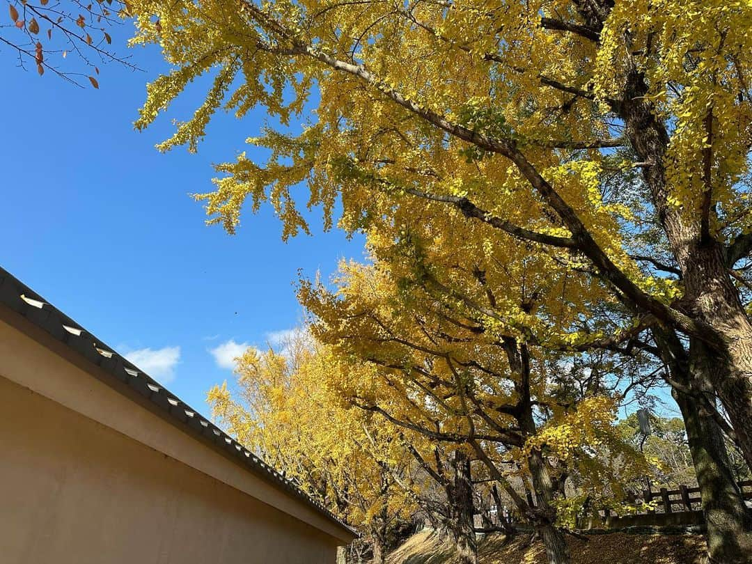 吉橋柚花のインスタグラム：「HADO優勝特典で 熊本へ行かせていただきました。  片目結膜炎で行った結果 熊本についてすぐ眼科に行くことになり 眼科で診察券を作って帰るという 斬新かつ新鮮な旅になりました。笑  ホテルの方がすごく親切にしてくださり 助かりました🥲🌿  でも全然観光できなかったので またいつかプライベートでいけたらなと思います。 飛行機はANAさんを使わせていただきました！✈️  #星野リゾート #OMO5熊本  #omo_hotels #PR」