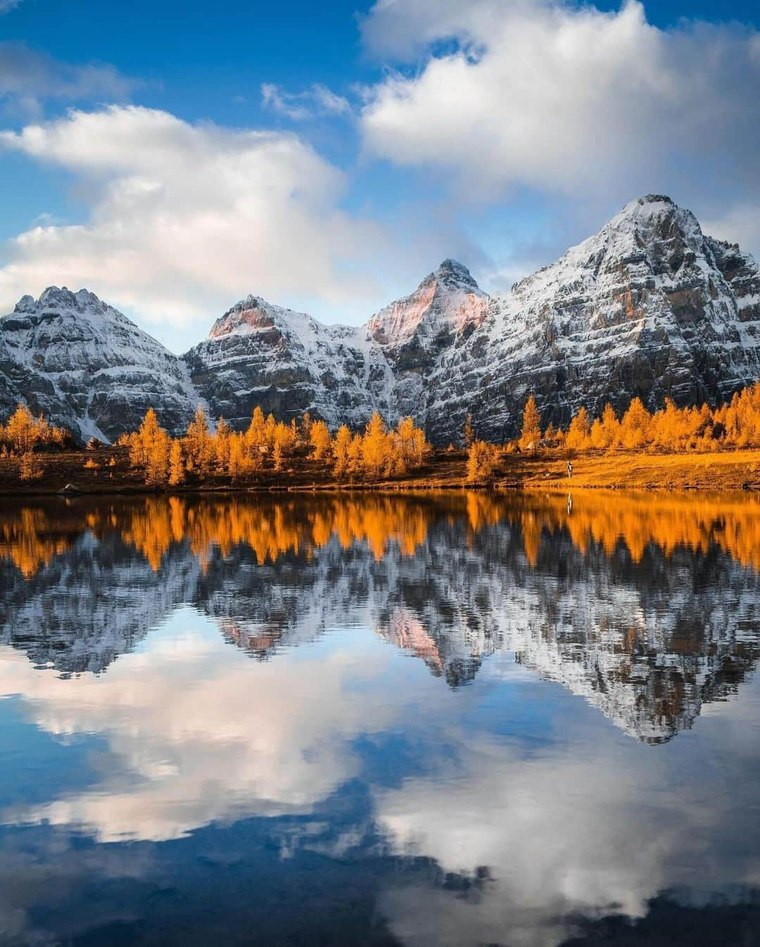 Discover Earthさんのインスタグラム写真 - (Discover EarthInstagram)「Lost in the rugged beauty of the Rockies 🇨🇦 🍂  📍 Rockies, Canada  🇨🇦 #DiscoverCanada with @jakeguzman」12月22日 5時03分 - discoverearth