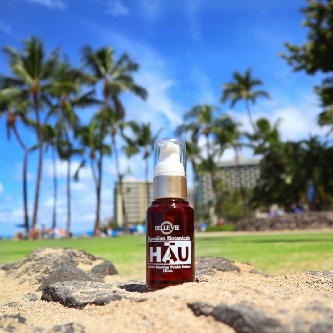 Belle Vie Hawaiiさんのインスタグラム写真 - (Belle Vie HawaiiInstagram)「Hawaiian Botanicals Series  「HAU・雫」しわ用細胞再生セラム  乾燥が気になるこの時期におススメのHAU✨  サクシニルアテロ・コラーゲンや 米ぬか大豆発酵エキス、天然保湿因子アミノ酸、 セリンなどの有効成分がお肌に深く浸透❣️  気になるしわやたるみに直接リーチし ハリと潤いを取り戻してくれるほか ハイビスカスやパイナップルなどのハワイ植物成分が お肌を引き締めワントーン明るい透明肌へと導いてくれます💓  とろみのあるテクスチャーで 特に乾燥が気になる時は 化粧水としてお使いいただくのもおススメ👍  お得なセット価格もご用意しています♪  【ベルヴィー店頭情報】 営業時間: 午前10時〜午後9時　無休 ※クリスマス(12/25)も通常通り営業🈺 店頭だけのお買い得商品多数有り 詳しくは店頭でお尋ねください  Open Daily 10:00am〜9:00pm Instagram in English  @belleviehawaii.en   #belleviehawaii  #skincare  #ハワイコスメ  #スキンケア  #しわたるみ改善  #エイジングケア  #コスメ好きな人と繋がりたい  #美容液  #乾燥肌ケア」12月22日 6時22分 - belleviehawaii