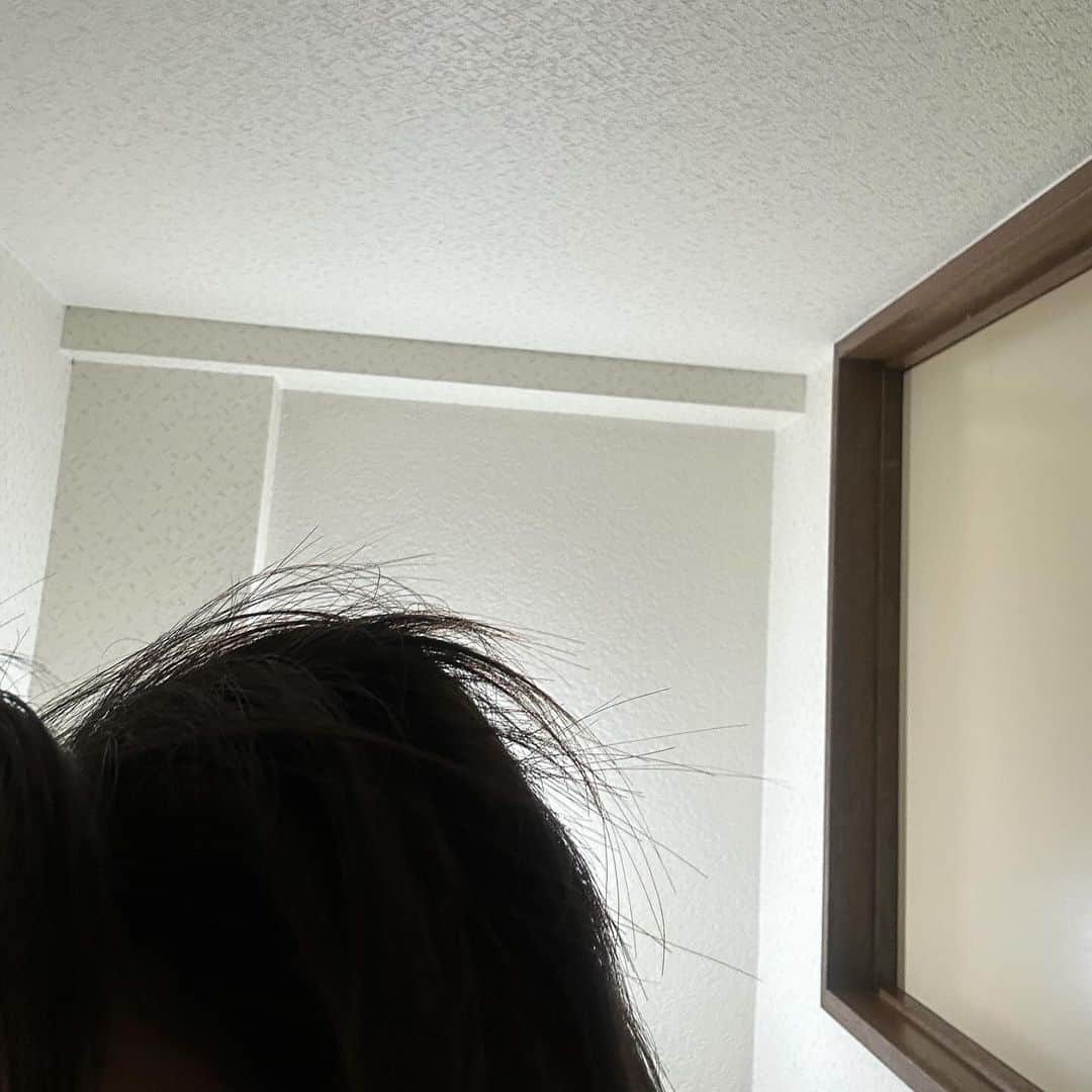 坂本澪香のインスタグラム：「咽頭炎やらかして喉裂けそうで鼻炎と闘い呼吸難になりながら 大きすぎる壁にだいぶ。本気で一度死んだと思いました。 これは加湿器で出来上がった毎朝の寝癖。魔女の部屋ばりに加湿器煙たくして乗り切った冬風邪。聞いて下さいよ。私のチャリチャリのライト、盗まれたんす。買ったばっかりだったし最高に光るから誰かの夜道照らして安全でいてくれたらそれでいいんですけど…買って1ヶ月も一緒にいられなかった僕のライト。新しいライト付けなきゃねー。しょっきんぐ。がんばろ」