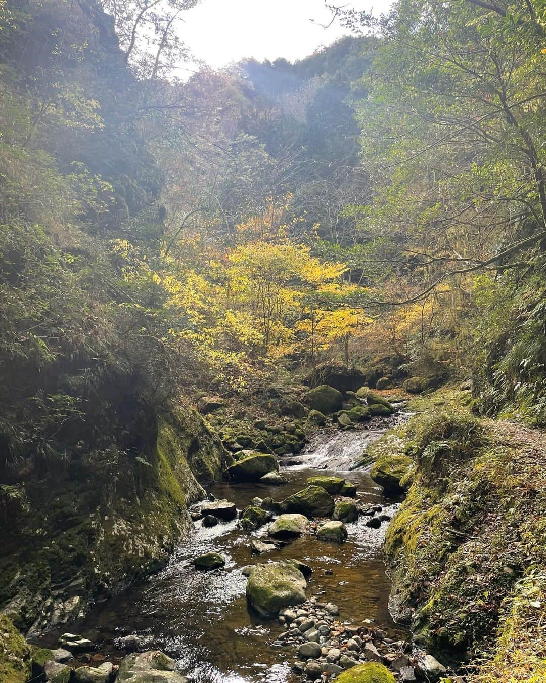 川畑ありささんのインスタグラム写真 - (川畑ありさInstagram)「名古屋&岐阜旅行❤️‍🔥❤️‍🔥 岐阜観光も楽しかった🥺♡ 流しそうめん目当てに、釜ヶ滝いきました✨ まぢでジブリの世界で綺麗すぎて🙏  思ってたより険しい山道やったけど、w 子供達もみーーんな頑張って歩きました😤  気持ちよかったなぁ~🥺♡  しょーこには、事あるごとに抱きつくのでそんな写真ばっかり😚😚w  #突然の旅行振り返り #毎日忙しすぎるんだもの #知らんがな  #名古屋#岐阜#名古屋旅行 #岐阜旅行 #岐阜観光 #釜ヶ滝 #northface #ノースフェイス#thenorthface #ヌプシ#ダウン」12月22日 21時06分 - princess_arisa