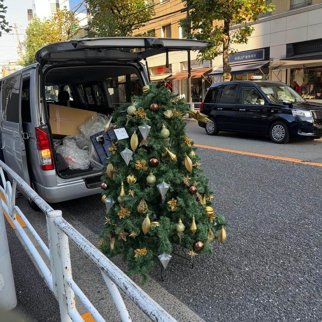 川本七海のインスタグラム：「🎄」