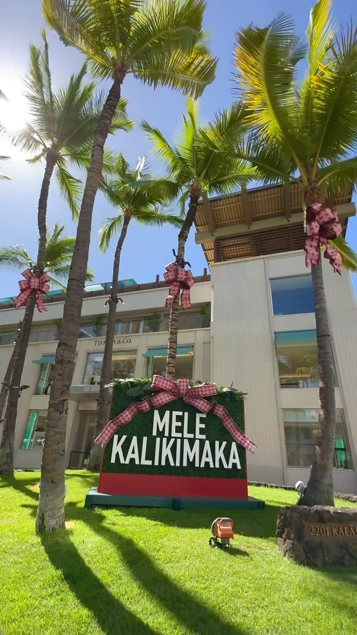 Belle Vie Hawaiiのインスタグラム：「2023年クリスマス目前のワイキキの様子を まとめてお届けします🎄  皆様、楽しい週末を😘  【ベルヴィー店頭情報】 営業時間: 午前10時〜午後9時　無休 店頭だけの歳末セール実施中🈹 詳しくは店頭でチェックしてください❣️  Open Daily 10:00am〜9:00pm Instagram in English  @belleviehawaii.en   #waikiki  #holidayseason  #ハワイのクリスマス  #ロイヤルハワイアンセンター  #ハレクラニ  #モアナサーフライダー  #ロイヤルハワイアンホテル  #インターナショナルマーケットプレイス  #ワイキキ散歩  #南国ライフ  #ハワイ情報」