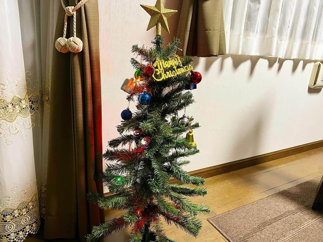 コーキTVのインスタグラム：「飾りが上ばかりに付いてるうちのクリスマスツリー🎄 バランス悪いから本当は下の方にも付けたいのですが💦  そうするとクラちゃんが全て蹴散らします🤣 ・・・悪さしても可愛いなぁ🐈✨  #ラグドール #クリスマス #クリスマスツリー #ねこのいる生活」