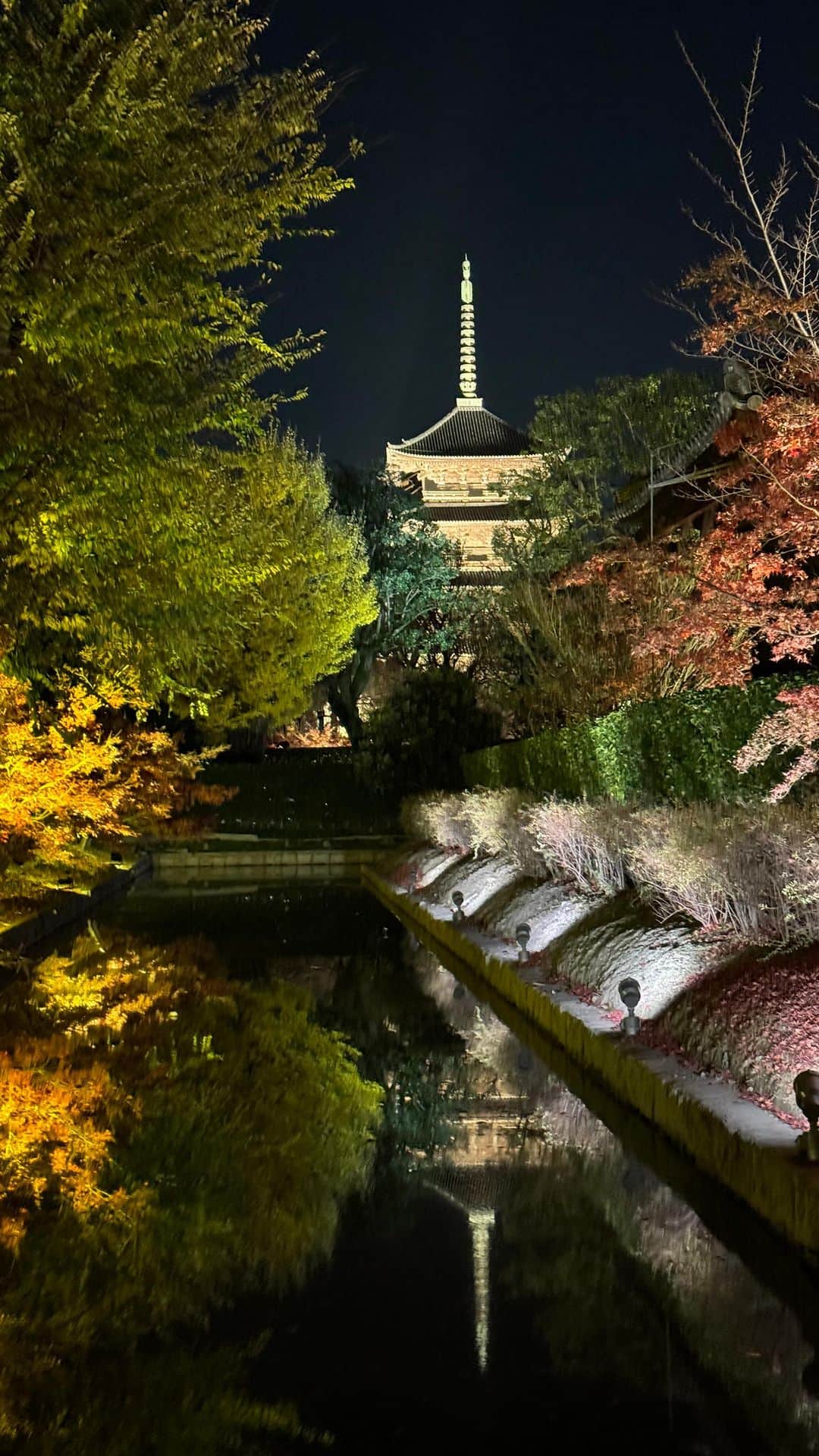 マキのインスタグラム：「. おはようございます😃  京都東寺の紅葉🍁 ライトアップ あまりに綺麗で幻想的だったから ちょっと季節ズレたけど…  日本の四季は素敵ですね。  #京都#東寺ライトアップ #東寺#紅葉ライトアップ #紅葉 #日本の四季#kyoto#京都観光」