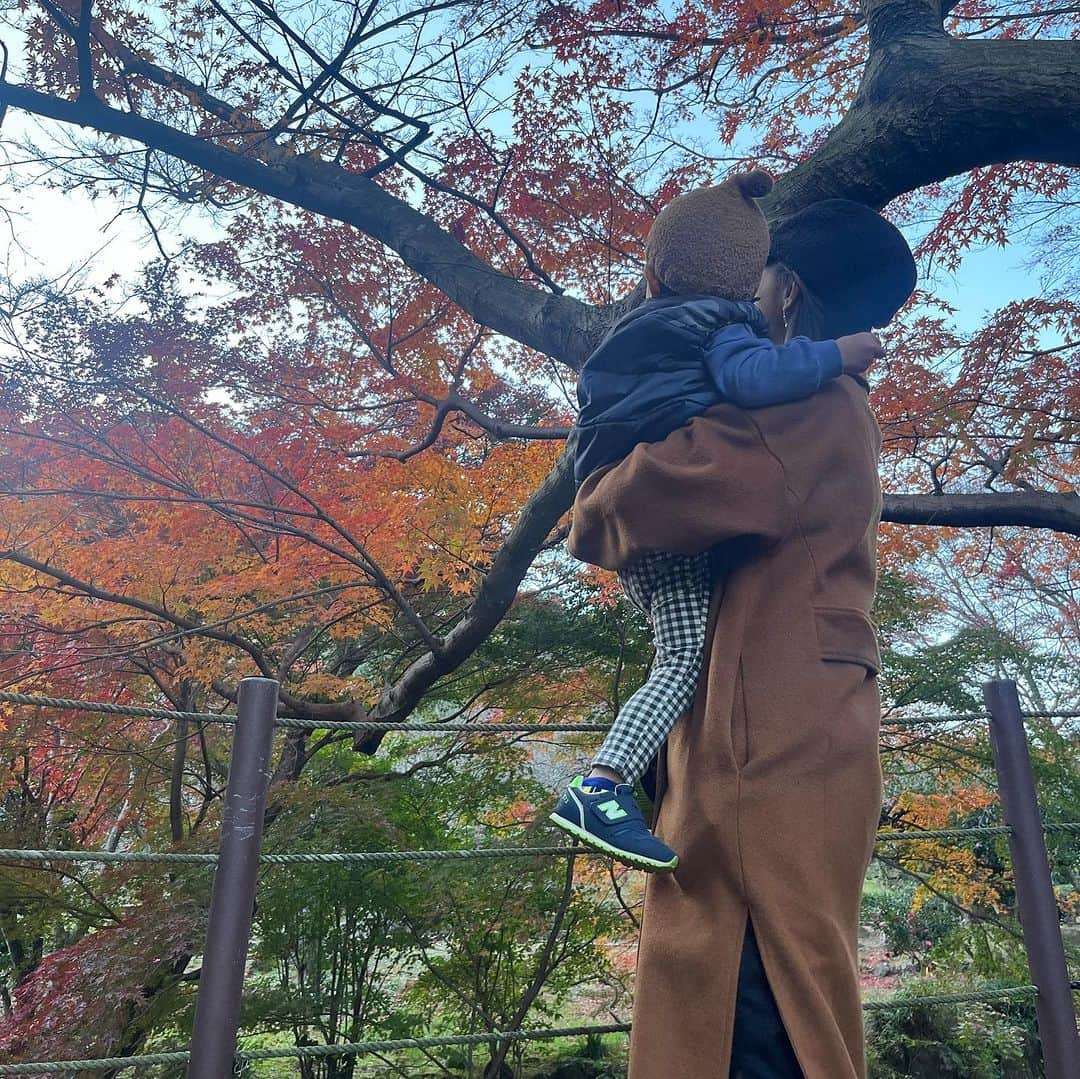 大湯みほさんのインスタグラム写真 - (大湯みほInstagram)「………  熱海に紅葉🍁を見に行ったときの🚗post  ここは、熱海でも紅葉🍁で有名な✨『熱海梅園』✨  流れる川の音や、静かに澄んだ空気に囲まれて、少し例年より遅い見ごろとなった紅葉が、本当にキレイでした✨  最後の動画は、ここ最近訪れた、空前の✨トトロ✨ブーム👦笑　『トトロいた！』『ここ、トトロ！』と、なぜか大きな岩🪨を指差して大興奮して、色付いた葉っぱ🍂をたくさんお供えしてきておりました🙏  トトロ✨か〜😌ママも、小さい時から好きだったな〜  フォルムが、ちょっと…大好きなそらジロー✨🐣と被るような気もするのですが😏笑」12月23日 11時23分 - nukazukemiho0320