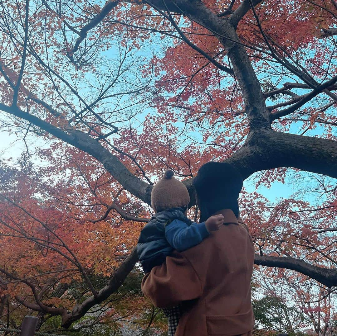 大湯みほのインスタグラム：「………  熱海に紅葉🍁を見に行ったときの🚗post  ここは、熱海でも紅葉🍁で有名な✨『熱海梅園』✨  流れる川の音や、静かに澄んだ空気に囲まれて、少し例年より遅い見ごろとなった紅葉が、本当にキレイでした✨  最後の動画は、ここ最近訪れた、空前の✨トトロ✨ブーム👦笑　『トトロいた！』『ここ、トトロ！』と、なぜか大きな岩🪨を指差して大興奮して、色付いた葉っぱ🍂をたくさんお供えしてきておりました🙏  トトロ✨か〜😌ママも、小さい時から好きだったな〜  フォルムが、ちょっと…大好きなそらジロー✨🐣と被るような気もするのですが😏笑」