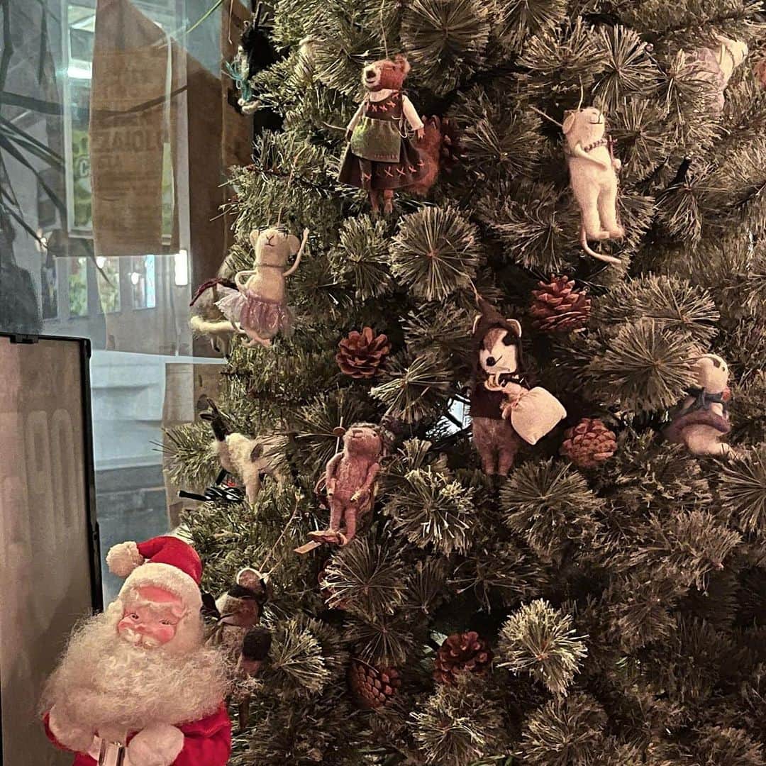 斎藤みらいのインスタグラム：「早くも名残惜しい🎄」