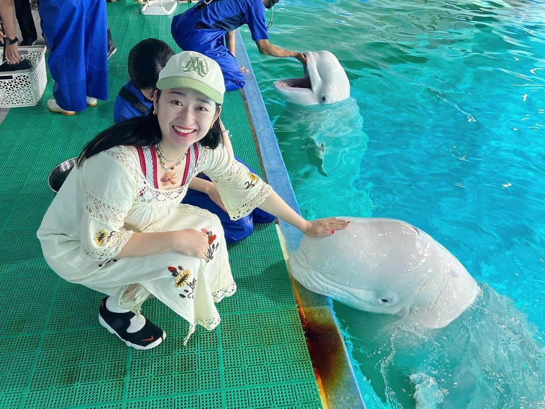 小川暖奈さんのインスタグラム写真 - (小川暖奈Instagram)「新江ノ島水族館と鴨川シーワールドと鳥羽水族館に行った時の🦦🐬  来年もたくさん水族館に行きたい #ラッコのメイちゃんキラちゃん #シロイルカのセレナ」12月24日 14時23分 - ogawah