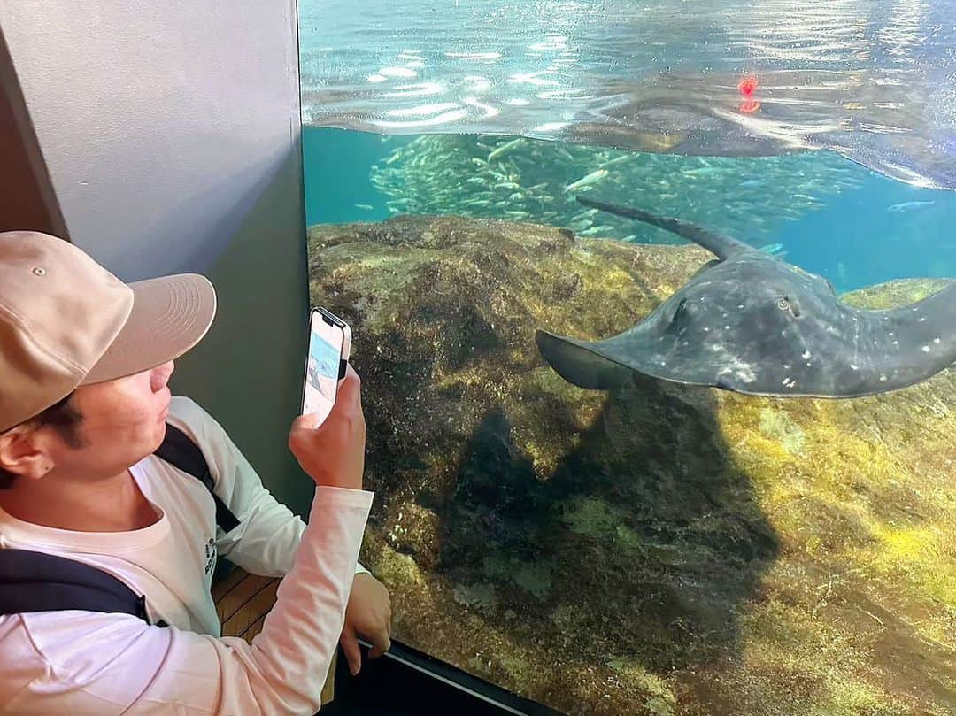 小川暖奈さんのインスタグラム写真 - (小川暖奈Instagram)「新江ノ島水族館と鴨川シーワールドと鳥羽水族館に行った時の🦦🐬  来年もたくさん水族館に行きたい #ラッコのメイちゃんキラちゃん #シロイルカのセレナ」12月24日 14時23分 - ogawah