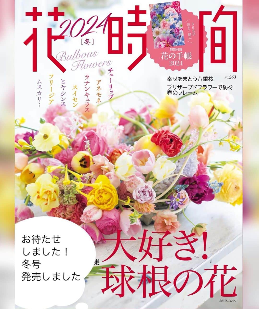 雑誌『花時間』さんのインスタグラム写真 - (雑誌『花時間』Instagram)「楽しいクリスマス🎄をお過ごしですか？　ポインセチアの本当の「花」は、どこにあるか知っていますか？  花時間（@hanajikan_magazine）です。  鉢で、飾っているなら、じーーーっと眺めてみて。  真ん中に集まっている、ポチポチした部分が本当な花。  まわりを囲んでいるのは、苞（ほう）。  花を保護するために発達した器官なんです。  おうちにあるなら、鉢から切って✂️、今夜のテーブルに飾ってみませんか？  切り口から滲み出る白い液は、洗い流す🚰と、元気に水を吸い上げてくれます。  では、ハッピークリスマス🎄🤶🎄  よい夜になりますように！ byピーターパン  リース　@country_harvest_ch  リースの写真　@satomi.ochiai78  花材写真　@tanabe32   【花時間ニュース】 💜『花時間マルシェ』発、花の定期便が大好評🥰　世界でここだけのバラと旬花が届く嬉しいサービスです💕  💜『花時間』の2024年カレンダー、大好評発売中！  💜『花時間2024冬』（大好き！球根の花）大好評発売中！  💜『花と短歌でめぐる 二十四節気 花のこよみ』大好評発売中  すべて @hanajikan_magazine のプロフィールのリンクから飛べます✈️  『花時間』本誌や書籍は全国の書店、ネット書店でも発売中✨  #花時間  #フラワーアレンジ #花が好き #花が好きな人と繋がりたい  #花を飾る  #花を飾る生活 #花屋さんへ行こう #クリスマス #ポインセチア #クリスマスリース」12月24日 15時38分 - hanajikan_magazine
