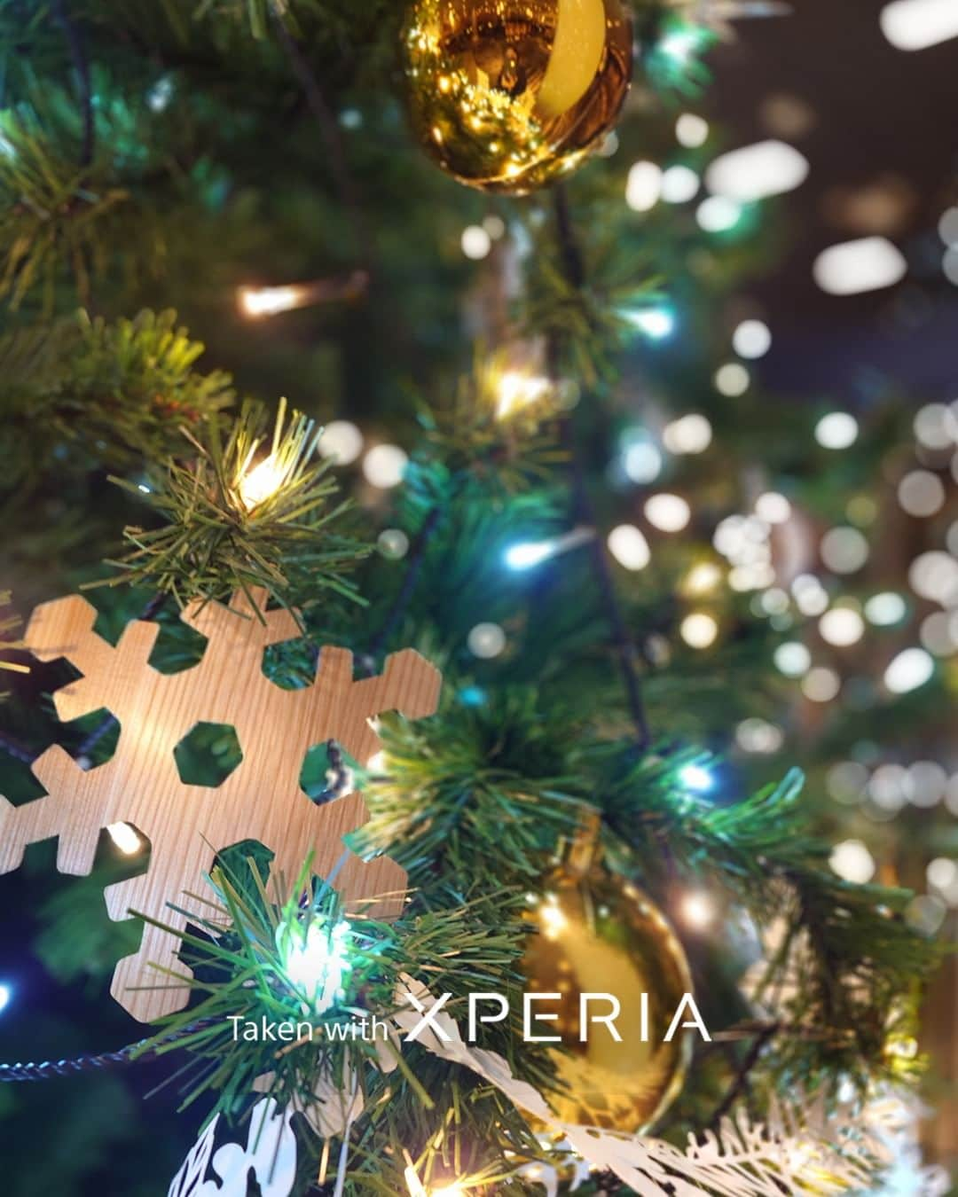 Sony Mobileさんのインスタグラム写真 - (Sony MobileInstagram)「Happy holidays from Xperia!🎄  If you want beautifully clear shots of shining lights in the cold winter air, Xperia's natural bokeh mode gives your subjects incredible clarity.  #Sony #Xperia #SonyXperia #Xperia1V #Xperia5V #CaptureTheNight #TakenWithXperia」12月24日 17時30分 - sonyxperia