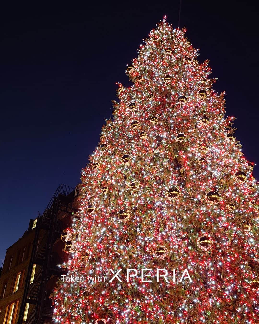 Sony Mobileさんのインスタグラム写真 - (Sony MobileInstagram)「Happy holidays from Xperia!🎄  If you want beautifully clear shots of shining lights in the cold winter air, Xperia's natural bokeh mode gives your subjects incredible clarity.  #Sony #Xperia #SonyXperia #Xperia1V #Xperia5V #CaptureTheNight #TakenWithXperia」12月24日 17時30分 - sonyxperia
