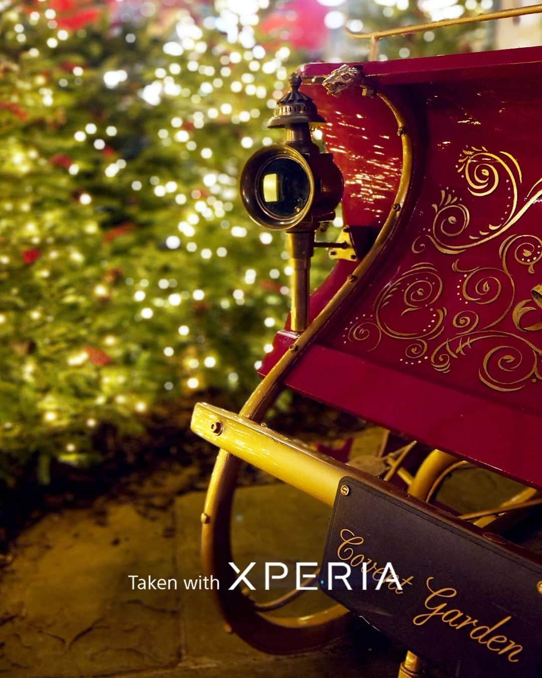 Sony Mobileさんのインスタグラム写真 - (Sony MobileInstagram)「Happy holidays from Xperia!🎄  If you want beautifully clear shots of shining lights in the cold winter air, Xperia's natural bokeh mode gives your subjects incredible clarity.  #Sony #Xperia #SonyXperia #Xperia1V #Xperia5V #CaptureTheNight #TakenWithXperia」12月24日 17時30分 - sonyxperia