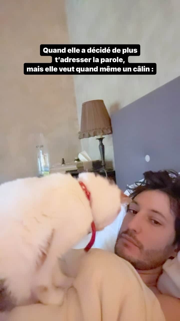 ピエール・ニネのインスタグラム：「Et tu as cru que ça allait clore l’embrouille…?」