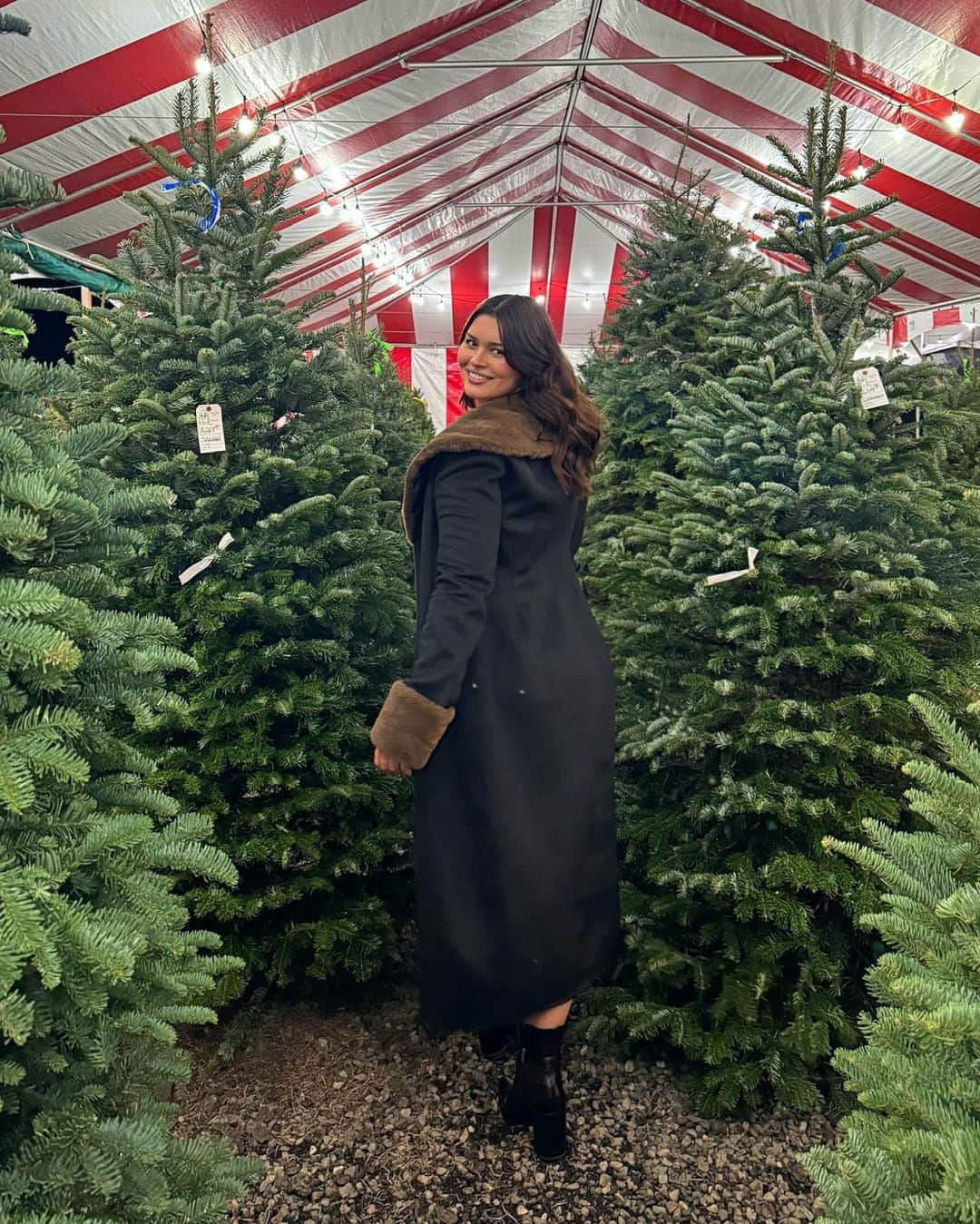 ベラ・ゴールデンさんのインスタグラム写真 - (ベラ・ゴールデンInstagram)「May your days be merry and bright 🤍🎄」12月25日 10時02分 - bellaagolden