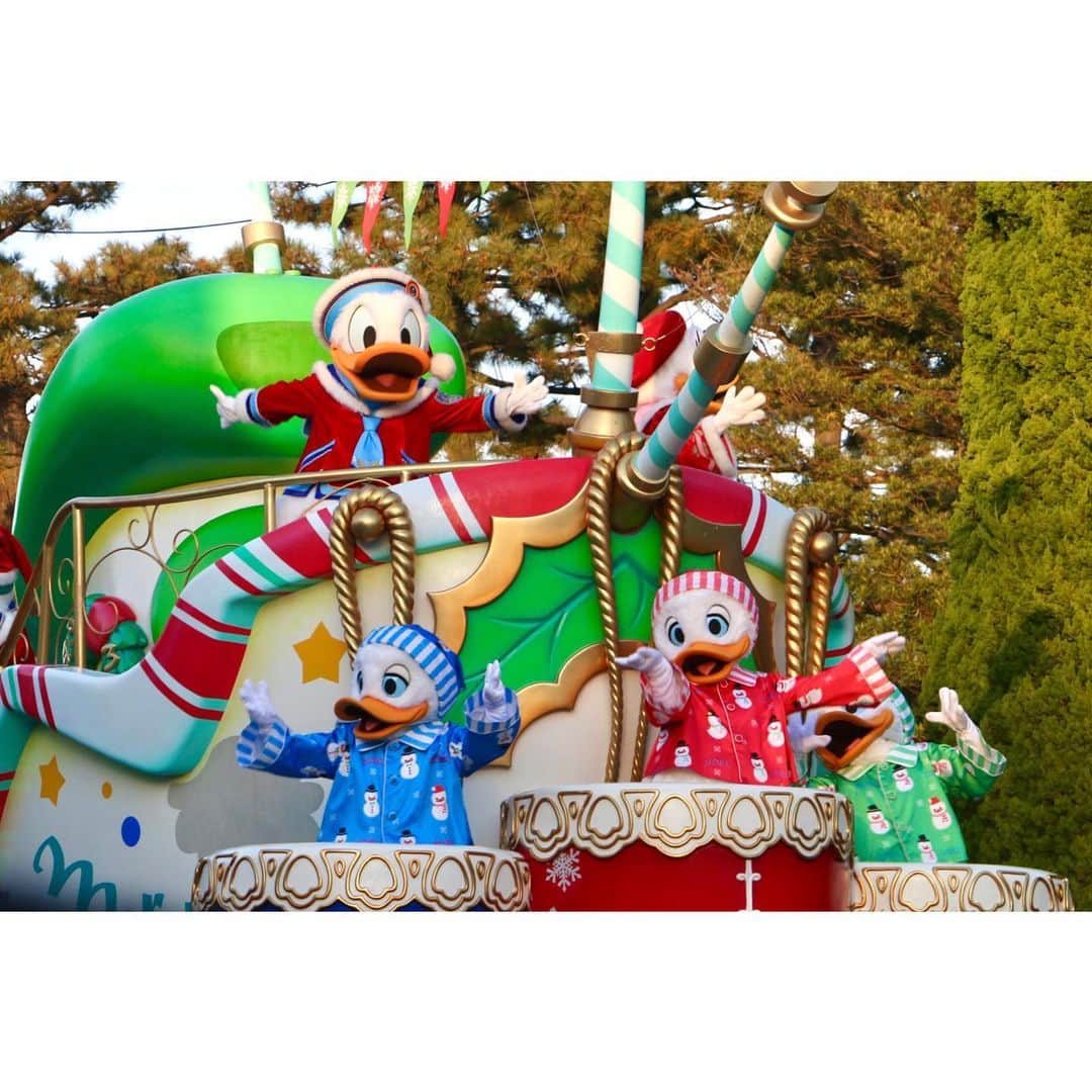 高柳明音さんのインスタグラム写真 - (高柳明音Instagram)「🎄🏰🎄  Xmas Disney photo📷🎁  お気に入りは 猫にねこじゃらしで 遊ばれる犬、すっっっき。  #Disney #TDL #Christmas #disneyphotography」12月25日 23時57分 - akane_o8o