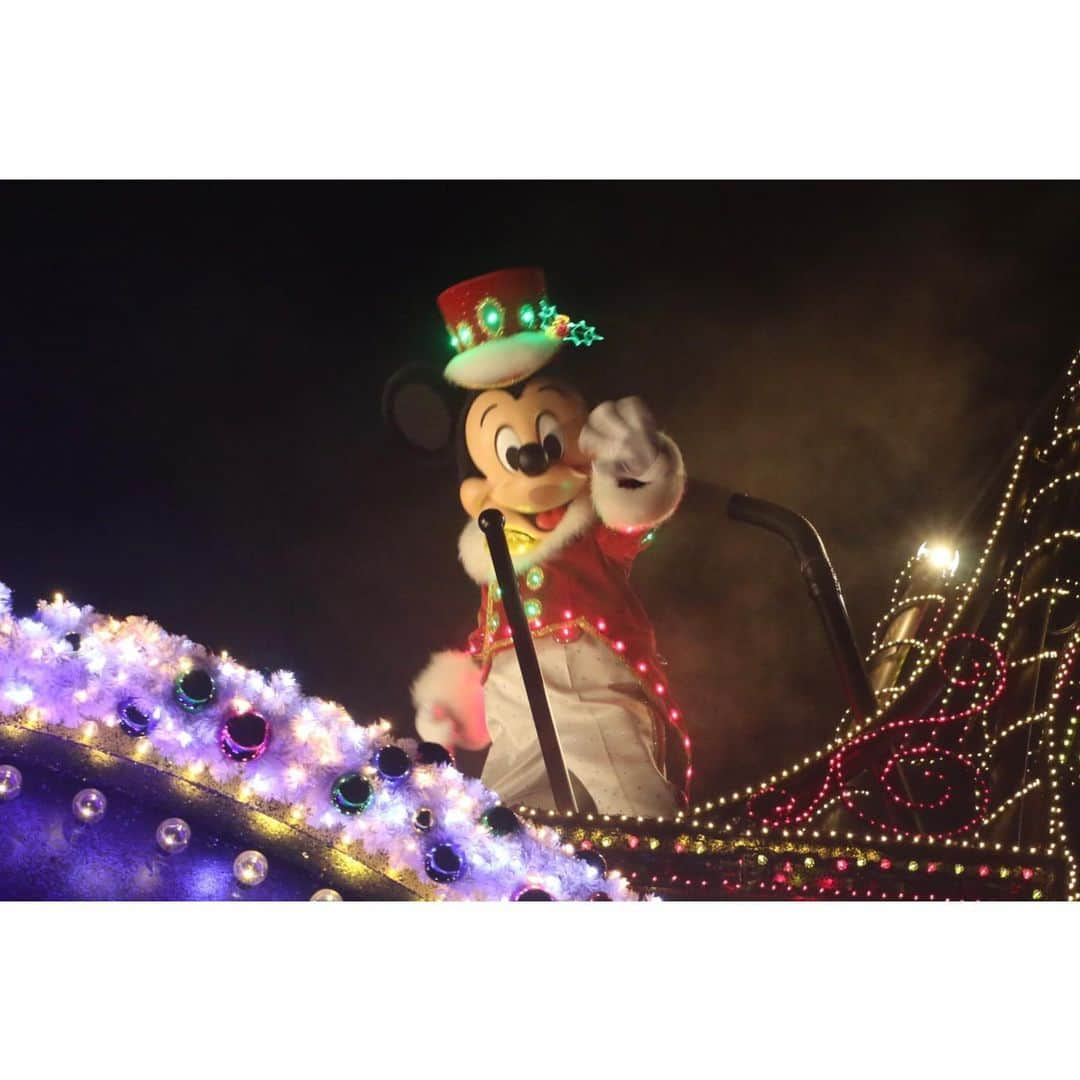 高柳明音のインスタグラム：「🎄🏰🎄  Xmas Disney photo📷🎁  お気に入りは 猫にねこじゃらしで 遊ばれる犬、すっっっき。  #Disney #TDL #Christmas #disneyphotography」