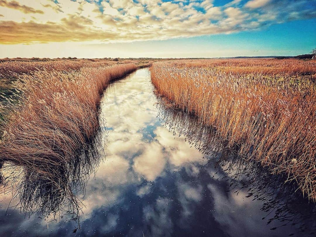 デビッド・モリシーさんのインスタグラム写真 - (デビッド・モリシーInstagram)「Boxing Day walk! Takes my breath away!」12月26日 20時03分 - davidmorrissey