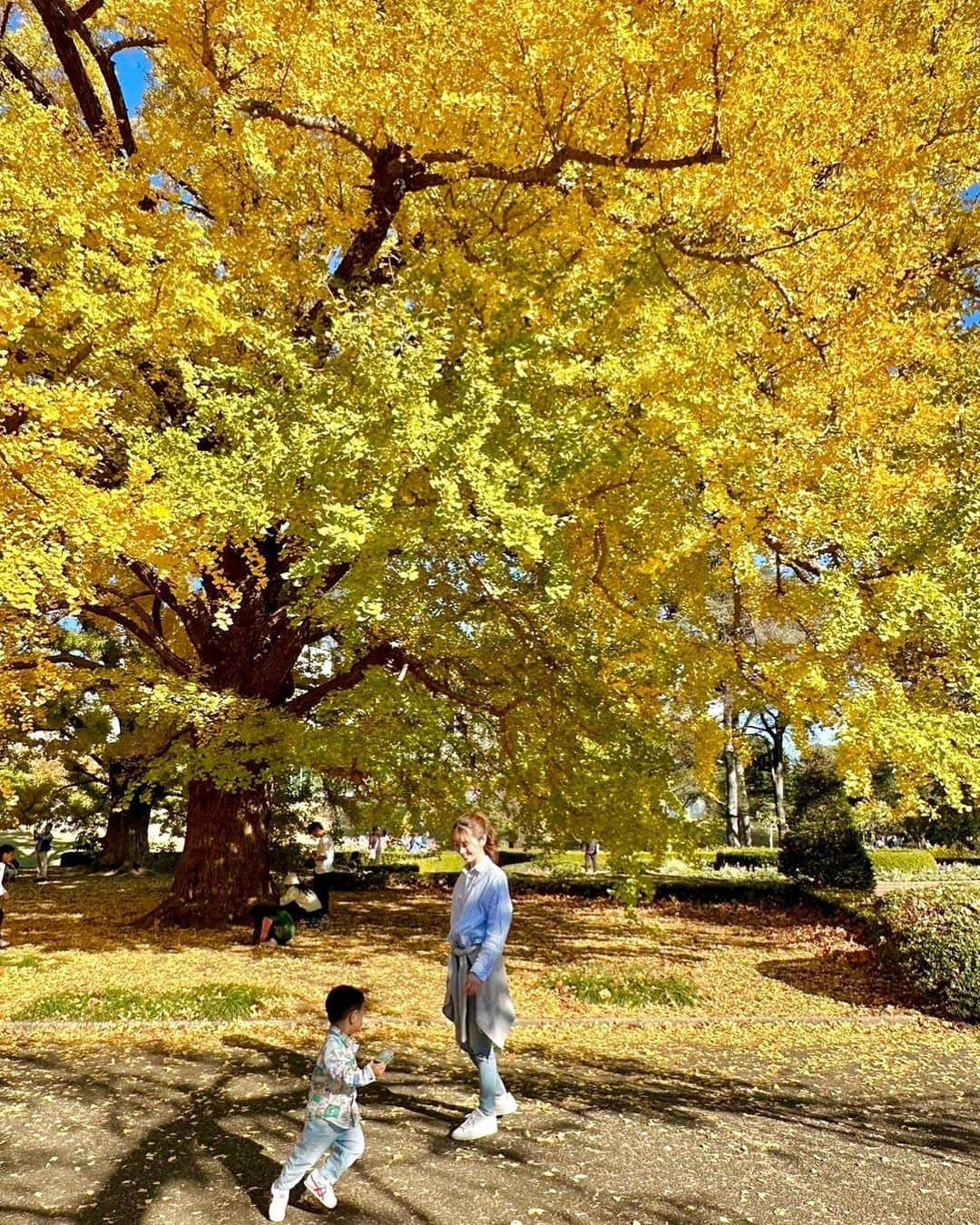 大寺かおりさんのインスタグラム写真 - (大寺かおりInstagram)「ぽかぽか陽気だった日に 守口さん親子と新宿御苑に行ってきました🧡 . ちょうど一年前に行ったときは 息子が1人でよちよち歩きを始めたときで 守口さんは妊婦さんだったので 1年での変化になんだか感慨深いものがありました✨ . おっとり大人しい守口さんの娘ちゃんと とにかくグイグイ攻める私の息子 の構図でした。 . #新宿御苑 #子連れお出かけ #男の子ママ #1y11m」12月27日 22時20分 - kaori_ootera