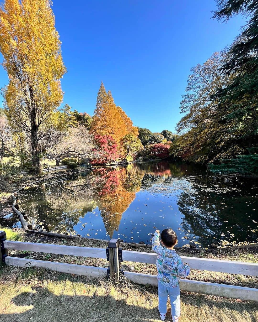 大寺かおりさんのインスタグラム写真 - (大寺かおりInstagram)「ぽかぽか陽気だった日に 守口さん親子と新宿御苑に行ってきました🧡 . ちょうど一年前に行ったときは 息子が1人でよちよち歩きを始めたときで 守口さんは妊婦さんだったので 1年での変化になんだか感慨深いものがありました✨ . おっとり大人しい守口さんの娘ちゃんと とにかくグイグイ攻める私の息子 の構図でした。 . #新宿御苑 #子連れお出かけ #男の子ママ #1y11m」12月27日 22時20分 - kaori_ootera