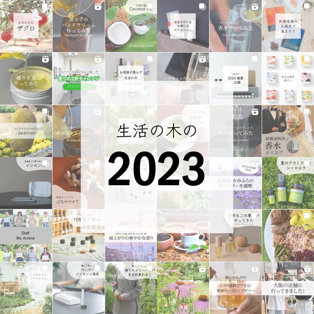 生活の木 Tree of life 【公式Instagram】のインスタグラム：「【年末のご挨拶】  早いもので もうすぐ2024年がやってきます。 皆さん、今年はどんな1年でしたか？  生活の木は 今年もたくさんの方々に支えられ、 1年を過ごすことができました。  「マイアロマプロジェクト」 「作ってみたシリーズ動画」など 様々な新しいことにも取り組んできました。  支えてくださった皆さんに 感謝の気持ちでいっぱいです。  2024年も新しいことに取り組んでまいります。 2024年が皆さんにとってより良い年になりますように✨  #生活の木 #年末のご挨拶 #今年もありがとうございました #今年もお世話になりました #来年もよろしくお願いします」