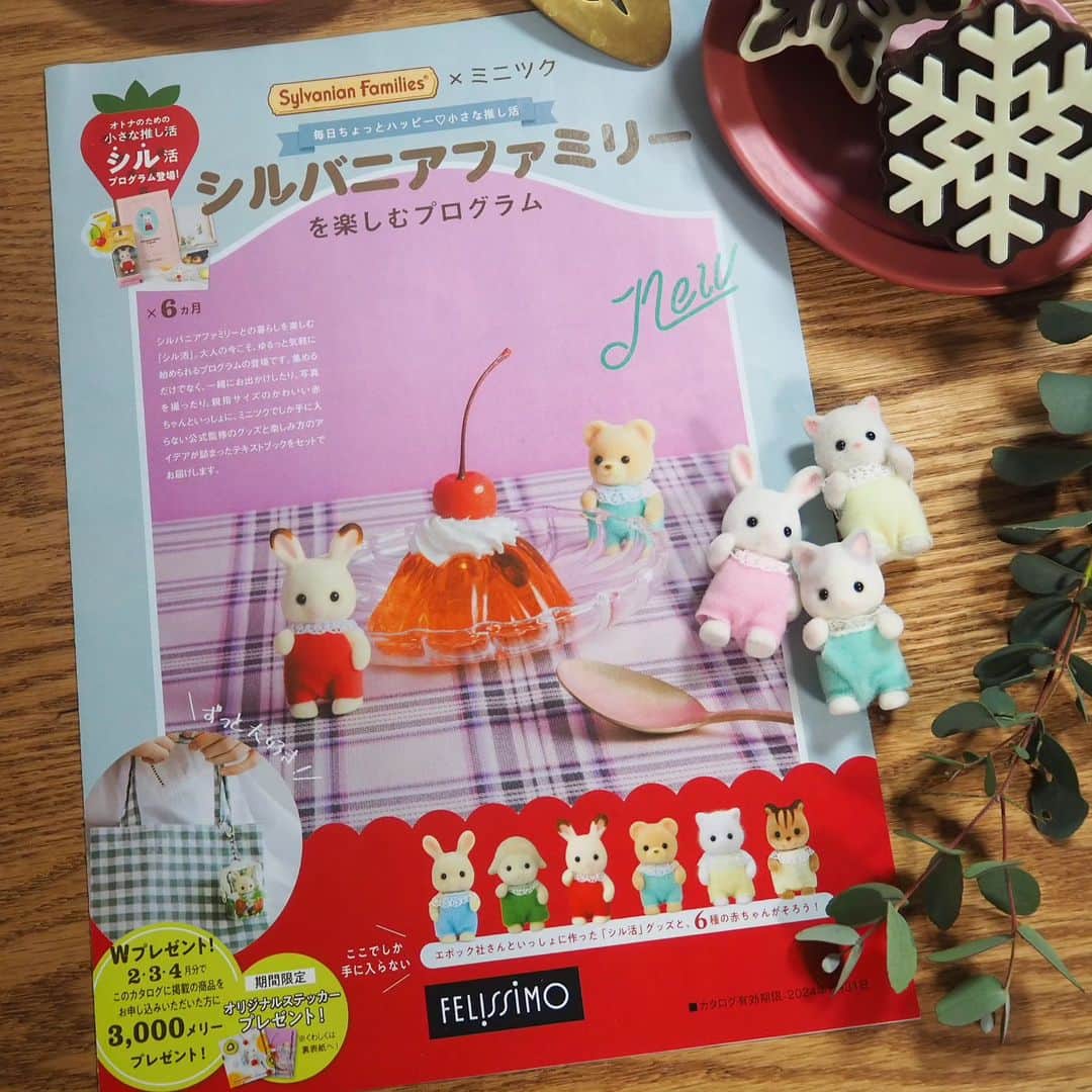 上岡麻美さんのインスタグラム写真 - (上岡麻美Instagram)「【シルバニアファミリーを楽しむプログラム】 フェリシモから大人のためのシルバニアファミリーを楽しむプログラムが登場しました😊✨ フェリシモのレッスン講座【ミニツク】で大人のためのシルバニアファミリー講座がスタートしました😊  全6回で毎月可愛い赤ちゃんとシル活グッズセットが届きます♥️ 私もアンバサダーとしてシルバニアファミリーの楽しみ方を掲載いただいています🐰  お申し込みはこちら↓ https://www.felissimo.co.jp/program/252788.html?xid=soc_SylvanianFamilies_ambassador_K 講座のお申し込みはフェリシモお問い合わせ窓口へお願いいたします！  #シルバニアファミリー#シルバニアファミリー公式アンバサダー#PR #フェリシモ#sylvanianfamilies」12月28日 20時59分 - asami_kamioka