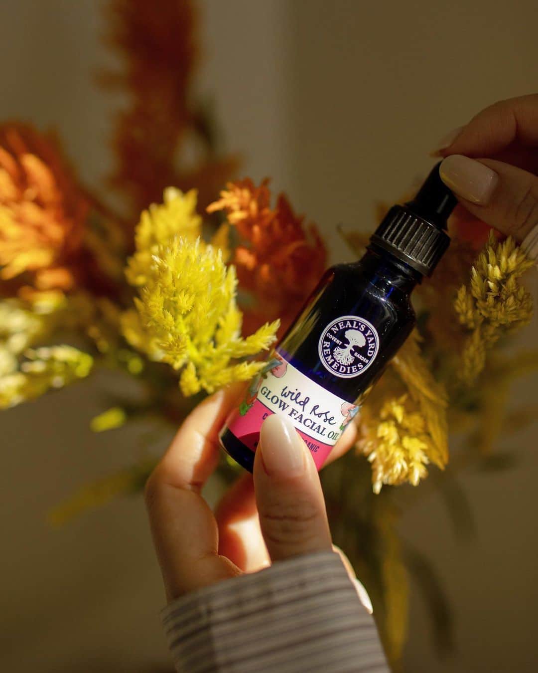 Neal's Yard Remediesのインスタグラム：「Get that January glow🌹​✨⁠ ⁠ Enjoy radiant skin with the glow-giving properties of our Certified Organic Wild Rose Glow Facial Oil. ⁠ ⁠ ✨⁠ Organic grapeseed oil, shea butter and naturally derived olive leaf extracts replenish and hydrate the skin⁠ ⁠✨⁠ A unique combination of light oils and plant-derived fatty acids condition and refine the skin for a soft, smooth complexion⁠ ⁠✨⁠Clinically proven to moisturise skin for up to 12 hours⁠ ⁠ ⁠ 📸@ludan_u⁠」
