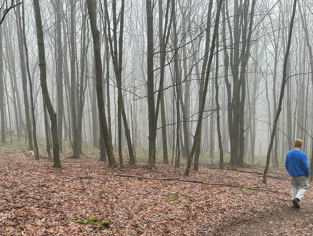 エイミー・シューマーさんのインスタグラム写真 - (エイミー・シューマーInstagram)「Magical hike today with golden trees! 🙌🏼」12月29日 21時35分 - amyschumer