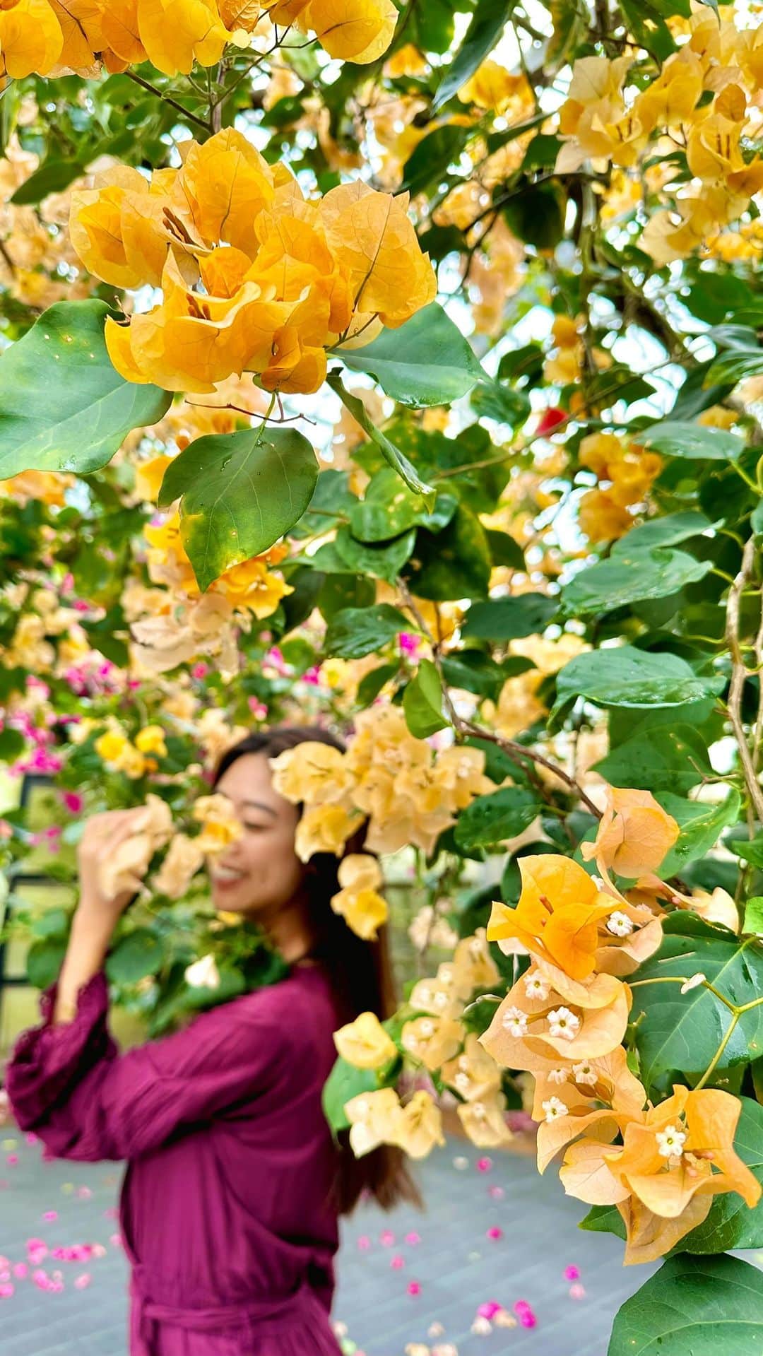 MIHOのインスタグラム：「雨の日の宮古島の過ごし方🫧  お気に入りの珈琲淹れて 満開なお花に癒されて いい香りに包まれながらギフト選び💝  @guavashack  @yu_topia_farm  @auauhawaii   巻き髪も取れて髪はぐちゃぐちゃなっちゃったけど🤣 幸福度満点な休日💐💜」