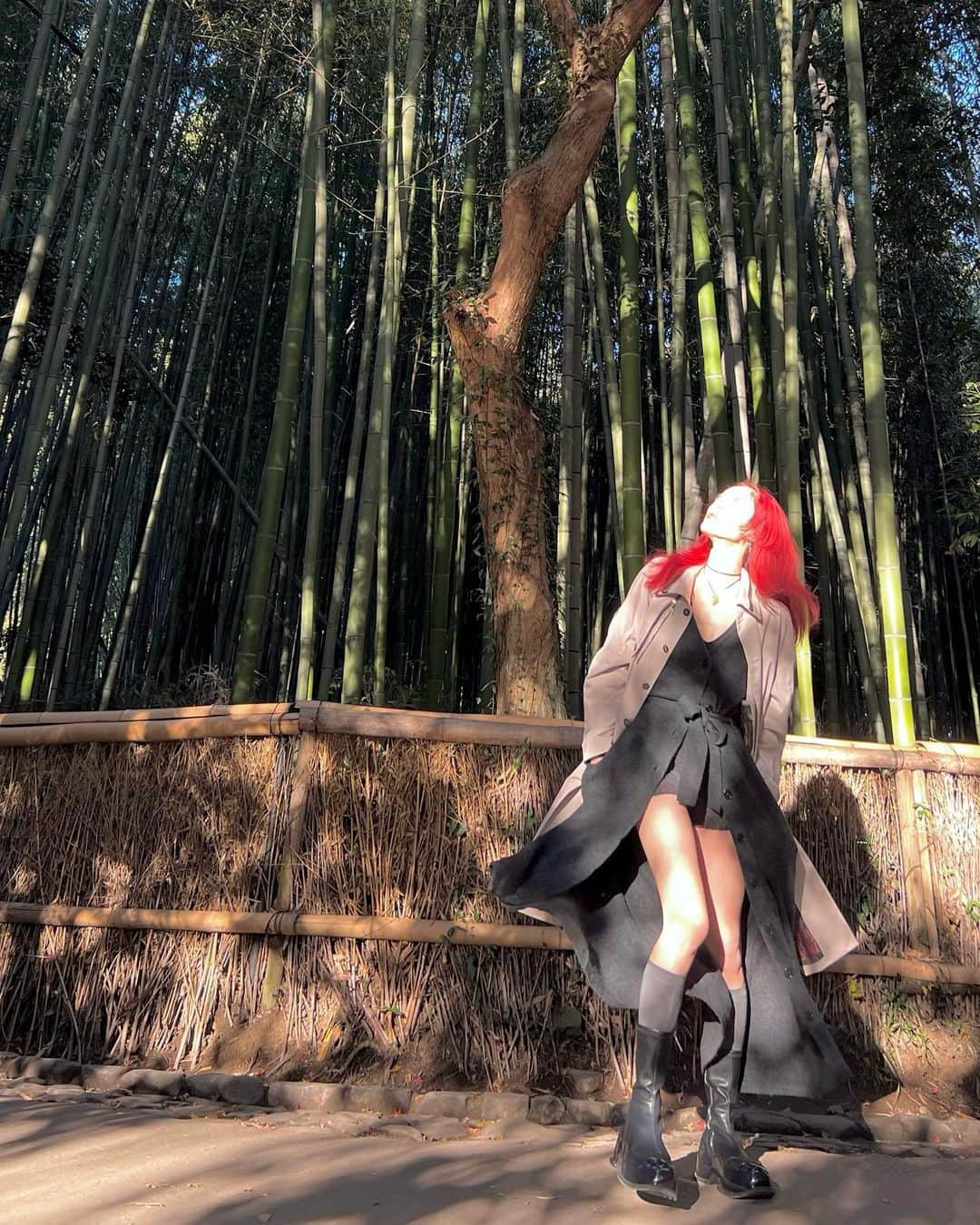 蘭舞ゆうさんのインスタグラム写真 - (蘭舞ゆうInstagram)「🏹⛩️🐈‍⬛✨🌠 10年ぶりの京都。 宝塚を卒業して次の日に京都に行き その次の日には上京してたあの時。  今は人が多くてちょっちびっくりしたけど 京都の雰囲気はどこか落ち着くわよさ。  今度はもう少しゆっくり。。。ね」12月29日 21時30分 - ranma_yu