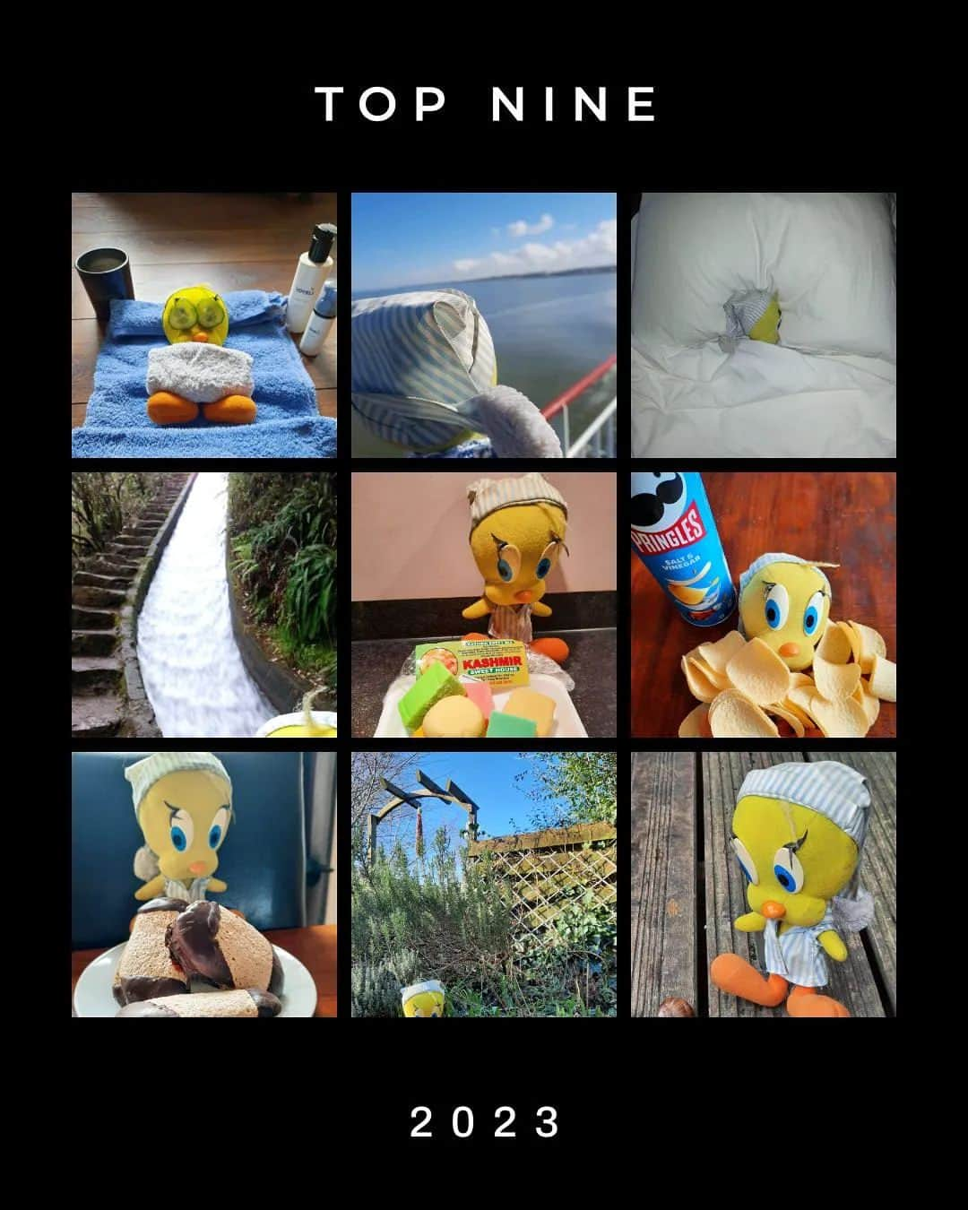 Little Yellow Birdのインスタグラム：「Always nice to see the past year condensed into 9 pics! #littleyellowbird #tweety #tweetykweelapis #adventures #yellow #bird #2023 #december #endoftheyear #bestnine #stuffedanimalsofinstagram #plushiesofinstagram」