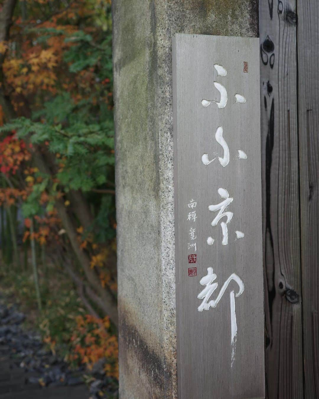きたかぜあすかさんのインスタグラム写真 - (きたかぜあすかInstagram)「⠀ ⠀ ⠀ 年末に京都へ。ツイちゃん初の旅行🍁  旅館でも10時間くらい寝てくれて まったりと過ごせました♡  #ふふ京都」12月31日 14時25分 - asukaa02