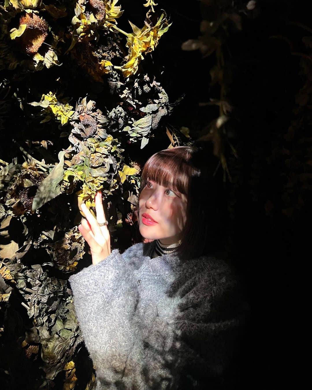 菜々香さんのインスタグラム写真 - (菜々香Instagram)「2023▷2024 みんなゆっくり過ごしてますかぁ。 今年もありがとうございました!❤️🩵 今年も色んな出会いに感謝です。🫶 楽しい事も沢山あったし 自分に気づきを与えてくれる出来事も。  2024年待っている🐈‍⬛ 目も心もかっぴらいていておゆきなさいね  みんな良いお年を！🫶🥰  #art#蜷川実花展eim#虎ノ門ヒルズ#tokyonode」12月31日 18時13分 - 7.na_na_ka