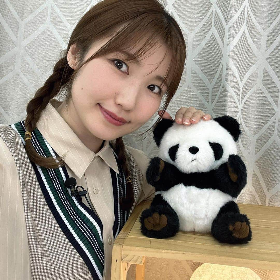 内田彩さんのインスタグラム写真 - (内田彩Instagram)「🐼  2023年もありがとうございました！  先日の仕事納めの日はパンダのポンポンと一緒でした🎍  たくさんの出会いも別れもある1年だったなぁ〜！  来年も、たくさんの新しい作品や番組との出会いがありますように♡  皆ともたくさん思い出が作れますように☺️」12月31日 22時14分 - aya_uchi_da