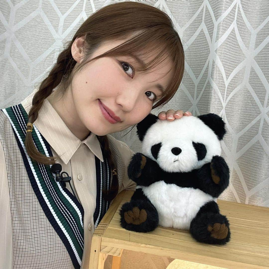 内田彩のインスタグラム：「🐼  2023年もありがとうございました！  先日の仕事納めの日はパンダのポンポンと一緒でした🎍  たくさんの出会いも別れもある1年だったなぁ〜！  来年も、たくさんの新しい作品や番組との出会いがありますように♡  皆ともたくさん思い出が作れますように☺️」