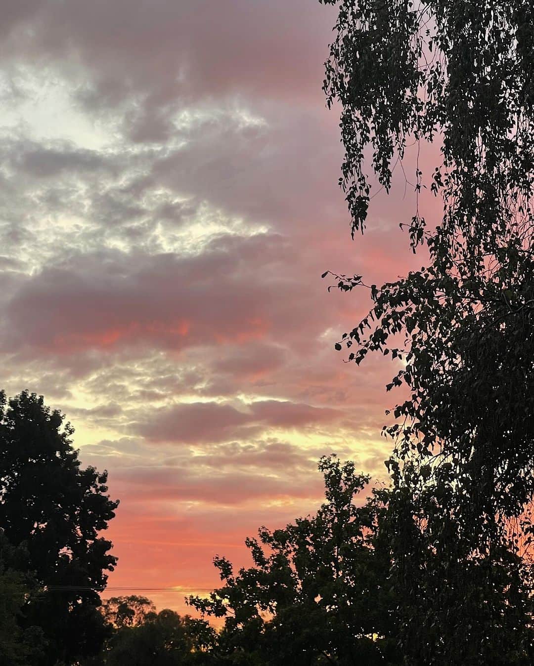 Victoria Leeのインスタグラム：「All the colours of home 💘Happy New Year 🦋✨✨💫」
