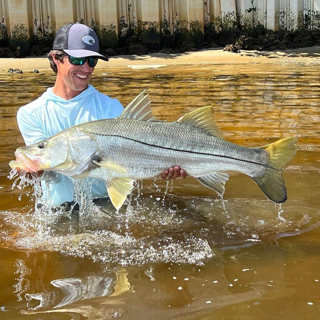 Costa Sunglassesのインスタグラム：「New Year, Same Goal. Catch monster Snook   @ryannitz  #snook #florida #fishing #seewhatsoutthere」