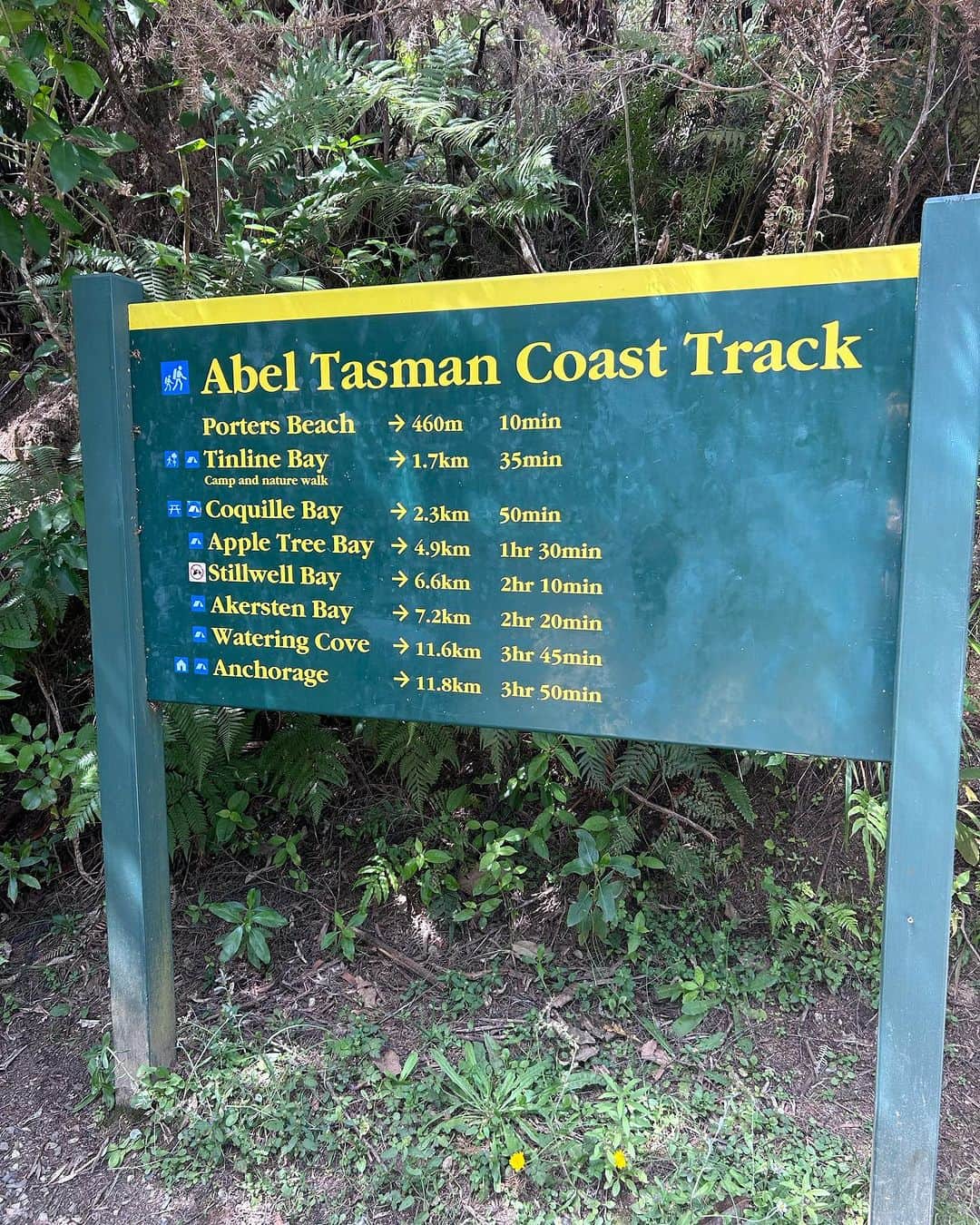 アンジェラ・ペティさんのインスタグラム写真 - (アンジェラ・ペティInstagram)「Abel Tasman long run yesterday, one of the most beautiful places I’ve ever run 🏖️☀️🌴」1月5日 13時34分 - angie_run800m