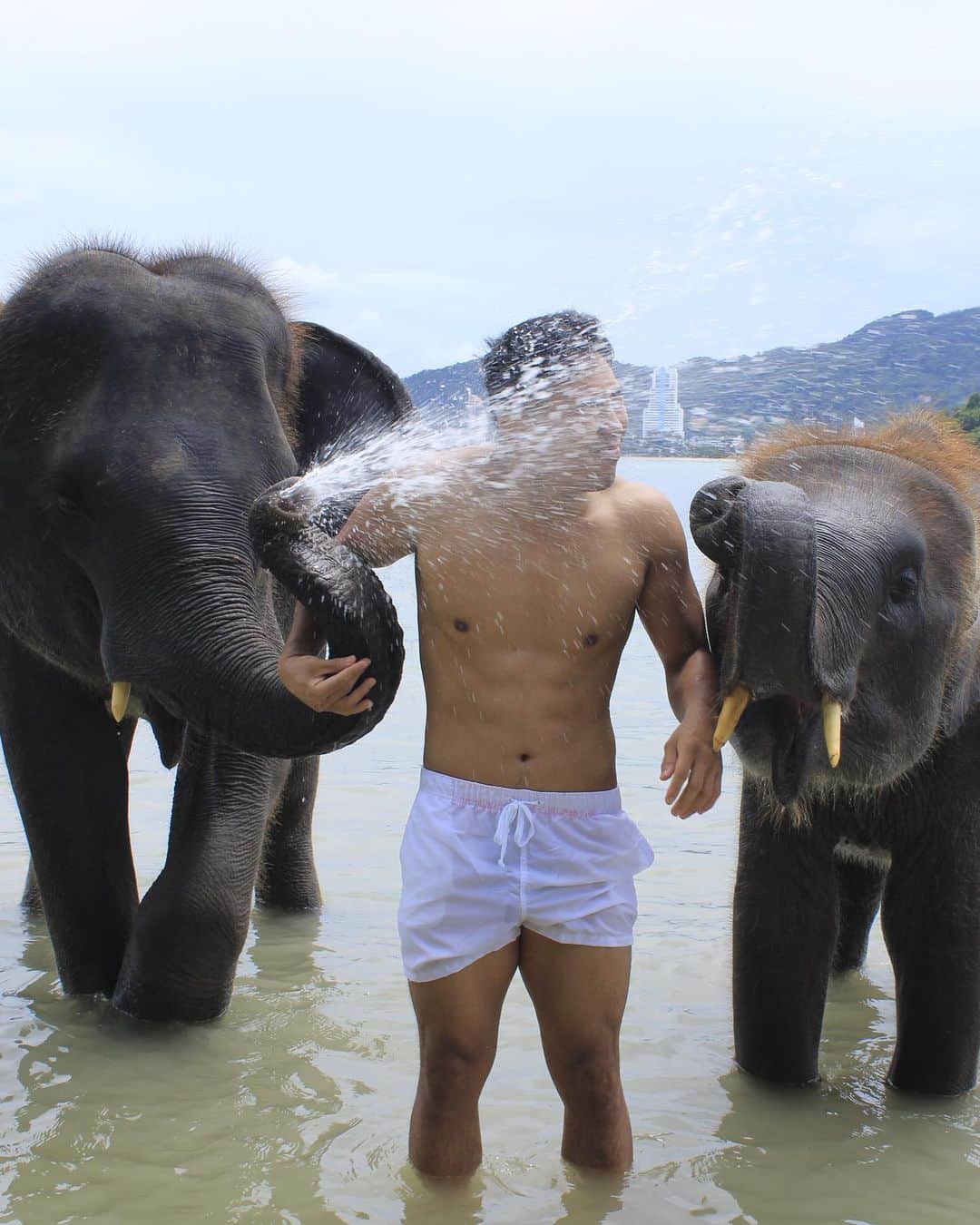 佐々木大さんのインスタグラム写真 - (佐々木大Instagram)「明けましておめでとうございます🐘 今年も格闘技頑張ります👊」1月5日 15時20分 - hirosasaki_