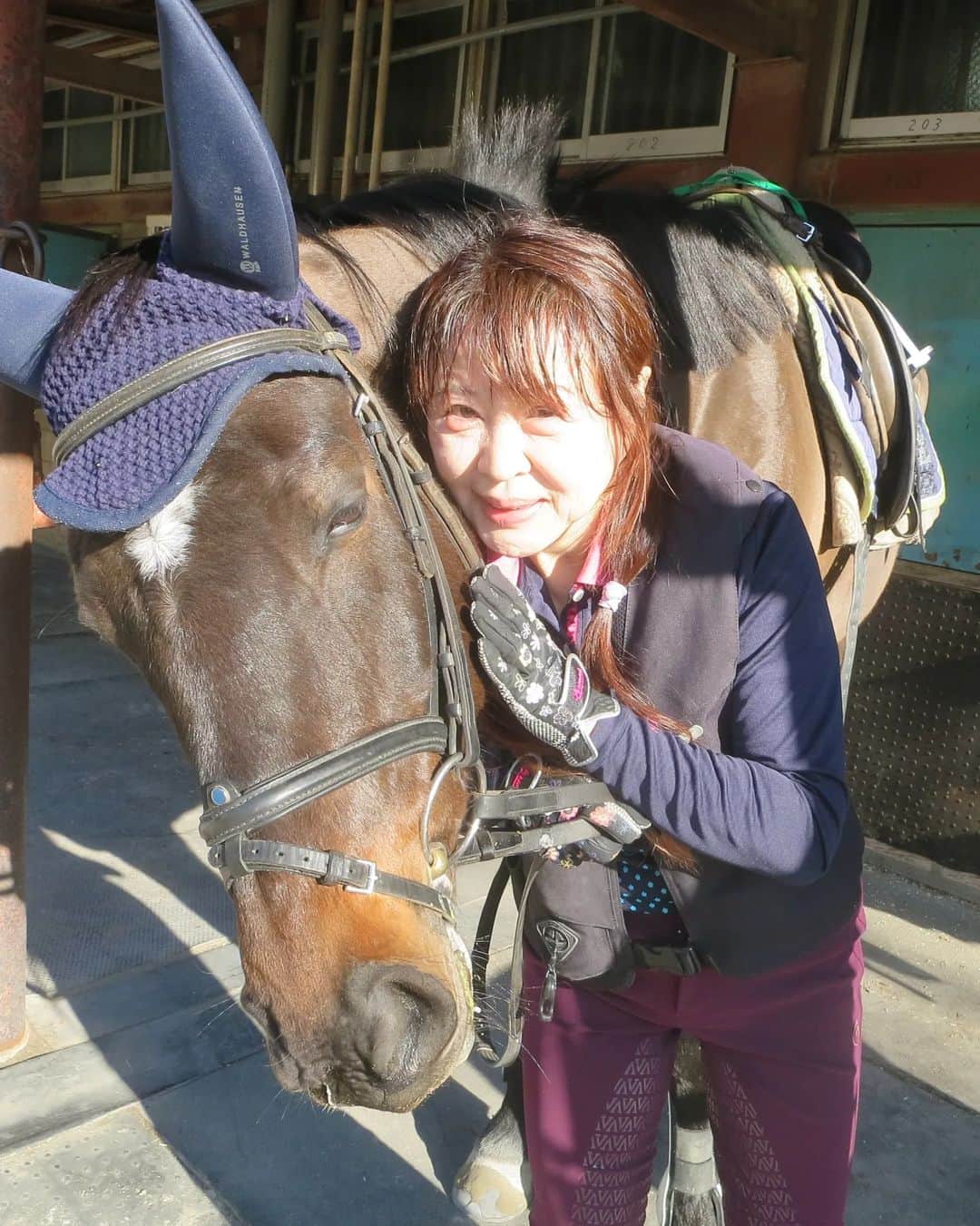 宇月田麻裕さんのインスタグラム写真 - (宇月田麻裕Instagram)「1/5　#ドミニコ　#乗馬日記　「はつのり～」　#サダムドミニック　あらためドミニコ　 レッスンは、にこちゃんこと「ドミニコ」＆Ｋ先生　 1/5 乗馬初乗り。乗り初めは　乗りおさめと同じ　#ドミニコ　 この日も、とってもいこ💖　近寄っても平気だし、手もぺろぺろしてくれます。可愛い性格。  馬場では、最初は、鞭は持ちませんでしたが、途中から、ほぼ使いませんが、手に持っているだけ。そのほうが動きます。  駈歩発進、体も手綱もブレブレの下手な私が駈歩しても、しっかり発進してくれます。 私の体がぶれずに安定するようにして乗る。課題です。 駈歩の途中で、馬が頭を下げようとしたら、シッカリと手綱を持ちつつ、同時に脚で扶助する。 これ、手綱だけで頭を上げようとしてしまうため、駈歩から速歩に落ちてしまいます。 このタイミングをキチンとせねばです。  乗っていませんが、この日の　#ホワイトアルバム　 とってもご機嫌が良く、ずっと手をぺろぺろとしてくれます。　 ぺろぺろしている時って、おやつあげているように見えますが、あげてませんよー。私の手をおやつにしている？だけですー。　 ドミニコも、私の手がおやつがわり？　洗い場で、いっぱいぺろぺろ。可愛い💕　この可愛いまま、育って欲しいです！ #北駿ホースヴィラ　さんから来ました。」1月7日 22時48分 - mahiro_utsukita