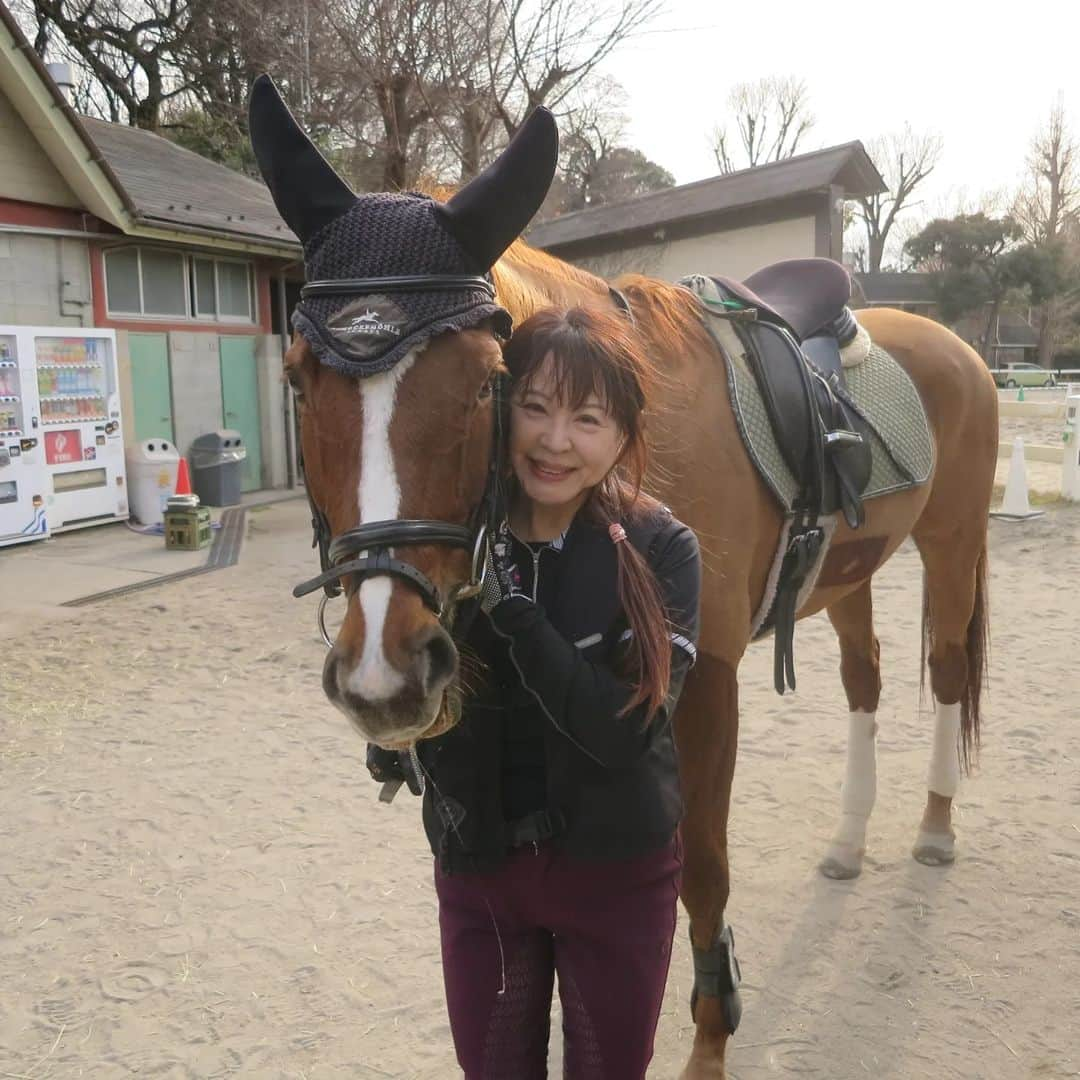 宇月田麻裕さんのインスタグラム写真 - (宇月田麻裕Instagram)「1/10　#プリマティスタ　#乗馬日記 「にーしないよー」　 久しぶりのぷーちゃんだと思ったら、12/27に乗っていました。 レッスンは、ぷーこと「プリマティスタ」＆Ｋ先生 Ｔ先生が、お昼休みに回してくださっていて、さらにＫ先生か下乗りしてくださいました。 そのおかげで、一度も後退することなくレッスン終えることができました。 最初からサクサク。 速歩になりそうな常歩させることが大事。 それが崩れてもたつくと馬主導になり、後退を始めたりします。 移行時も大事。 常歩にしたときに、キチンと扶助する。 駈歩、そんなに続きませんが、何度もしてくれて、いい感じ。 ぷーちゃん、頑張りました。ありがとー。 最近、ぷー、洗い場で笑顔なしで、しらーとしていいます。 下馬時の写真は、笑ってくれます🎵 乗馬日記、次回に続く。」1月13日 22時42分 - mahiro_utsukita