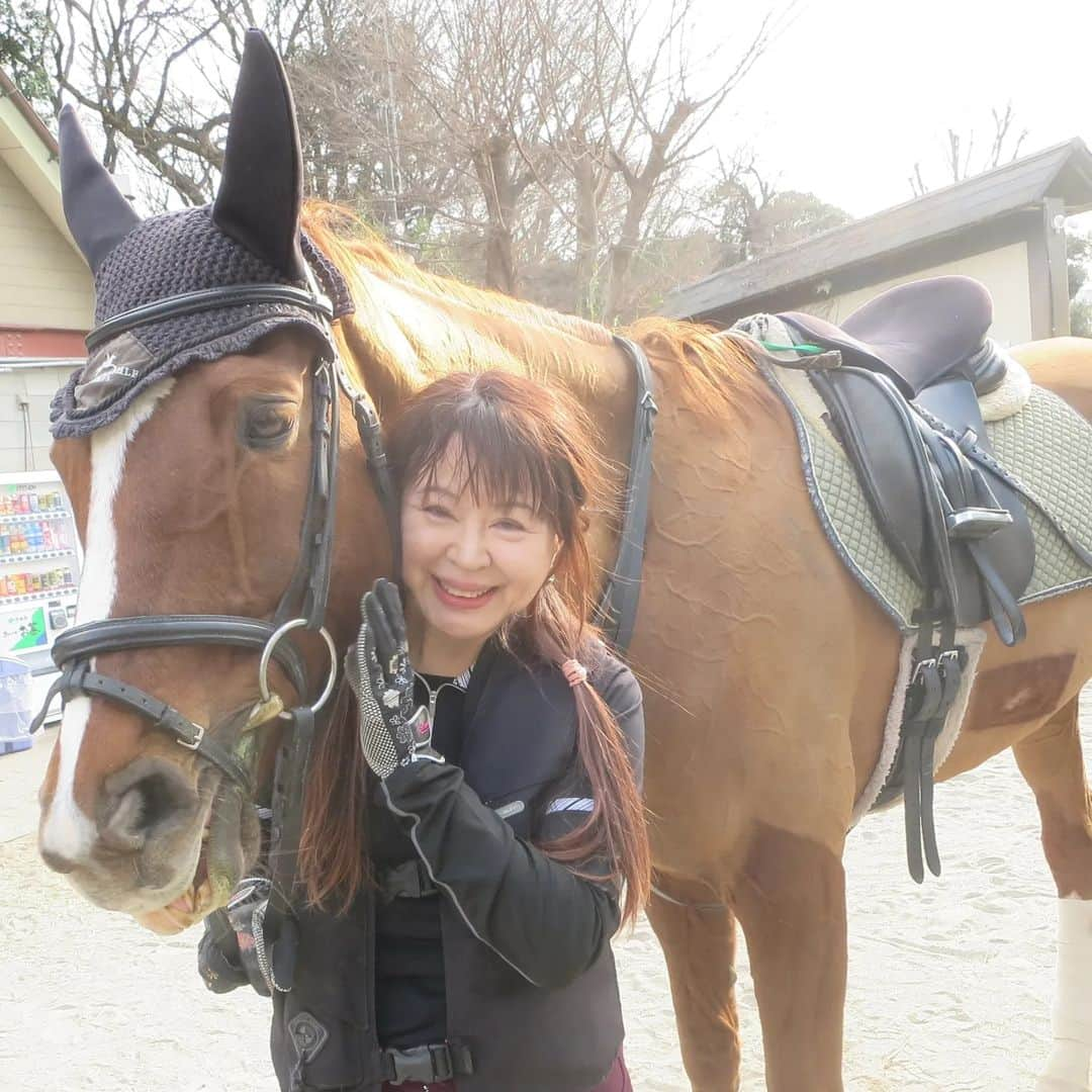 宇月田麻裕さんのインスタグラム写真 - (宇月田麻裕Instagram)「1/10　#プリマティスタ　#乗馬日記 「にーしないよー」　 久しぶりのぷーちゃんだと思ったら、12/27に乗っていました。 レッスンは、ぷーこと「プリマティスタ」＆Ｋ先生 Ｔ先生が、お昼休みに回してくださっていて、さらにＫ先生か下乗りしてくださいました。 そのおかげで、一度も後退することなくレッスン終えることができました。 最初からサクサク。 速歩になりそうな常歩させることが大事。 それが崩れてもたつくと馬主導になり、後退を始めたりします。 移行時も大事。 常歩にしたときに、キチンと扶助する。 駈歩、そんなに続きませんが、何度もしてくれて、いい感じ。 ぷーちゃん、頑張りました。ありがとー。 最近、ぷー、洗い場で笑顔なしで、しらーとしていいます。 下馬時の写真は、笑ってくれます🎵 乗馬日記、次回に続く。」1月13日 22時42分 - mahiro_utsukita