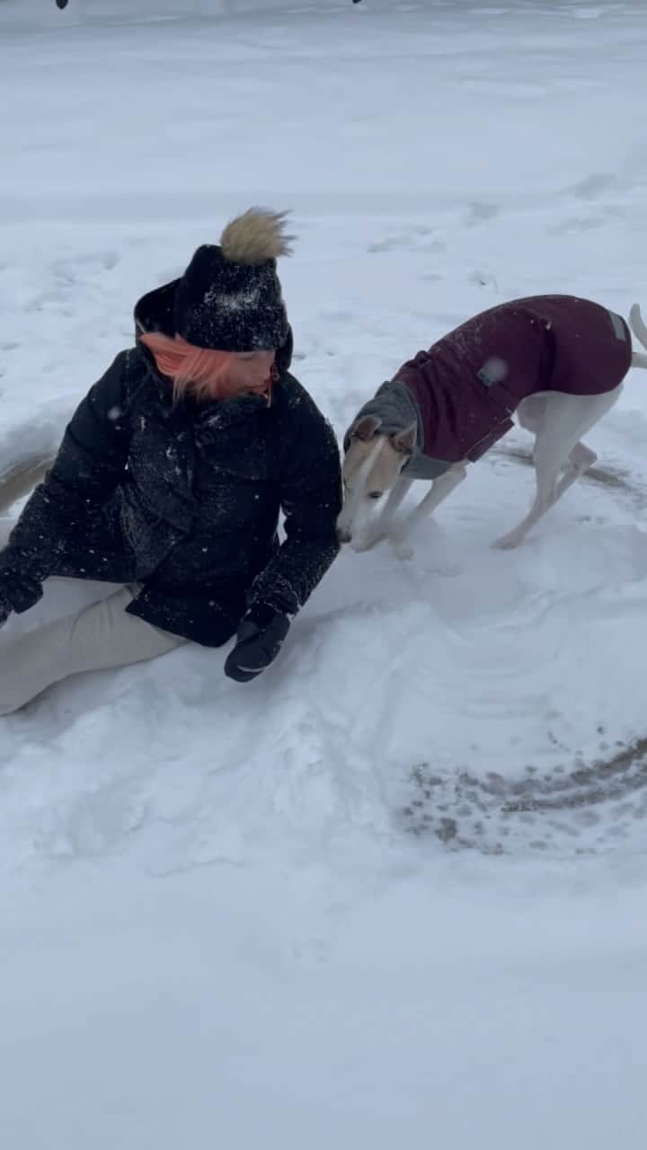 キャサディー・ポープのインスタグラム：「I was yesterday years old when I learned that snow angels trigger my dog.   #snow #snowday #nashville」